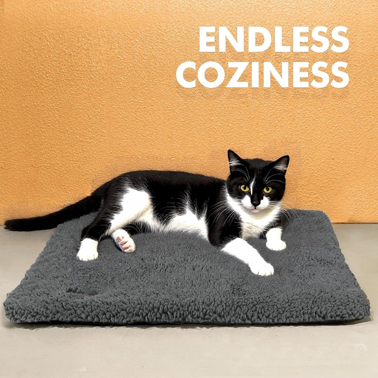 Self Warming Cat Bed Self Heating Cat Dog Mat 61 * 45Cm Extra Warm Thermal Pet Pad for Indoor Outdoor Pets with Removable Cover Non-Slip Bottom Washable Non Electric image number 6