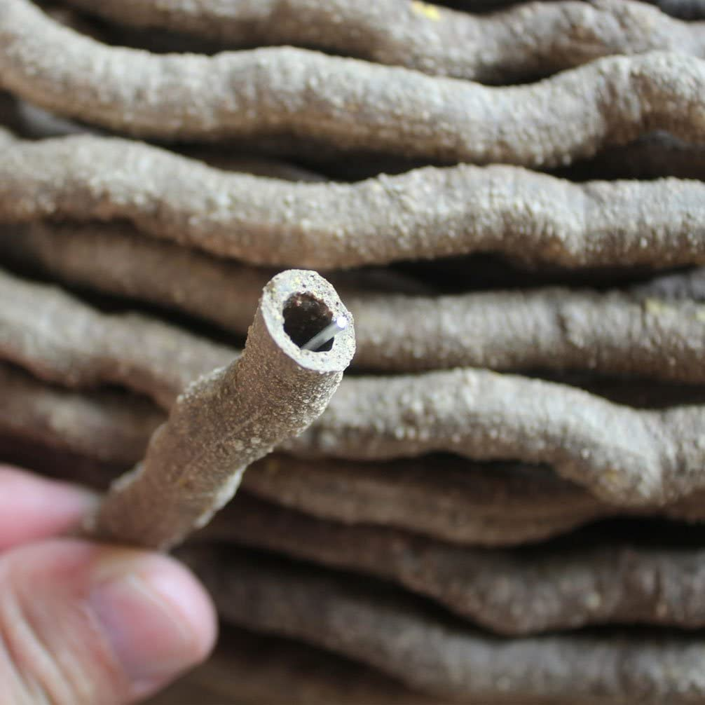 Emours Small Animal Bend-A-Branch Jungle Vine Pet Habitat Decor with Sunction Cups image number 3