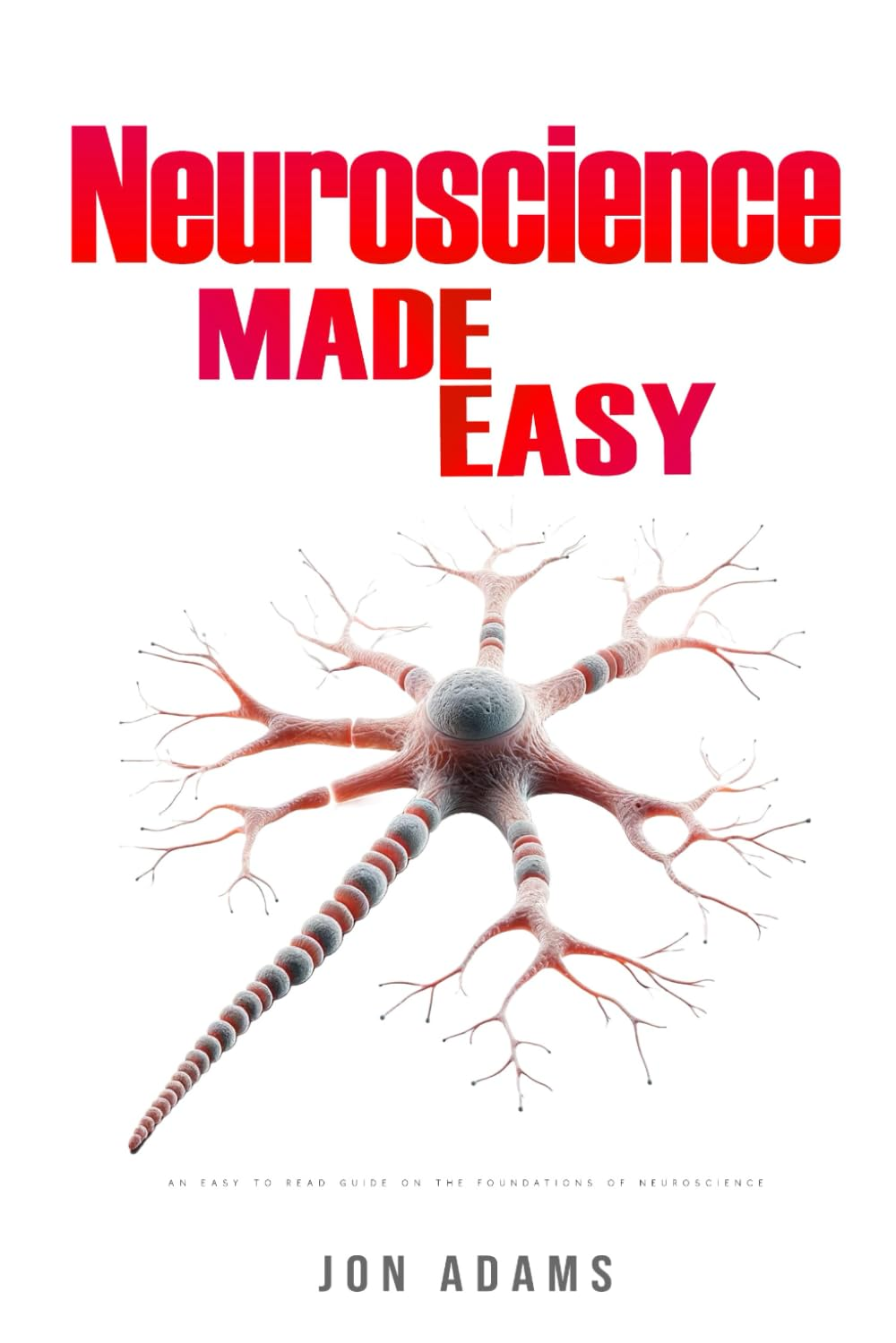 Neuroscience Made Easy: an Easy to Read Guide on the Foundations of Neuroscience image number 1