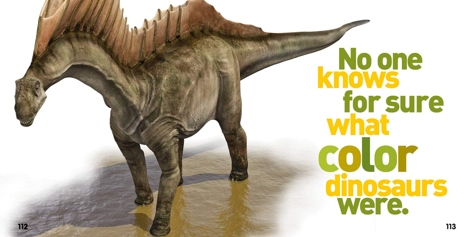 Weird but True! 1: Expanded Edition: 2