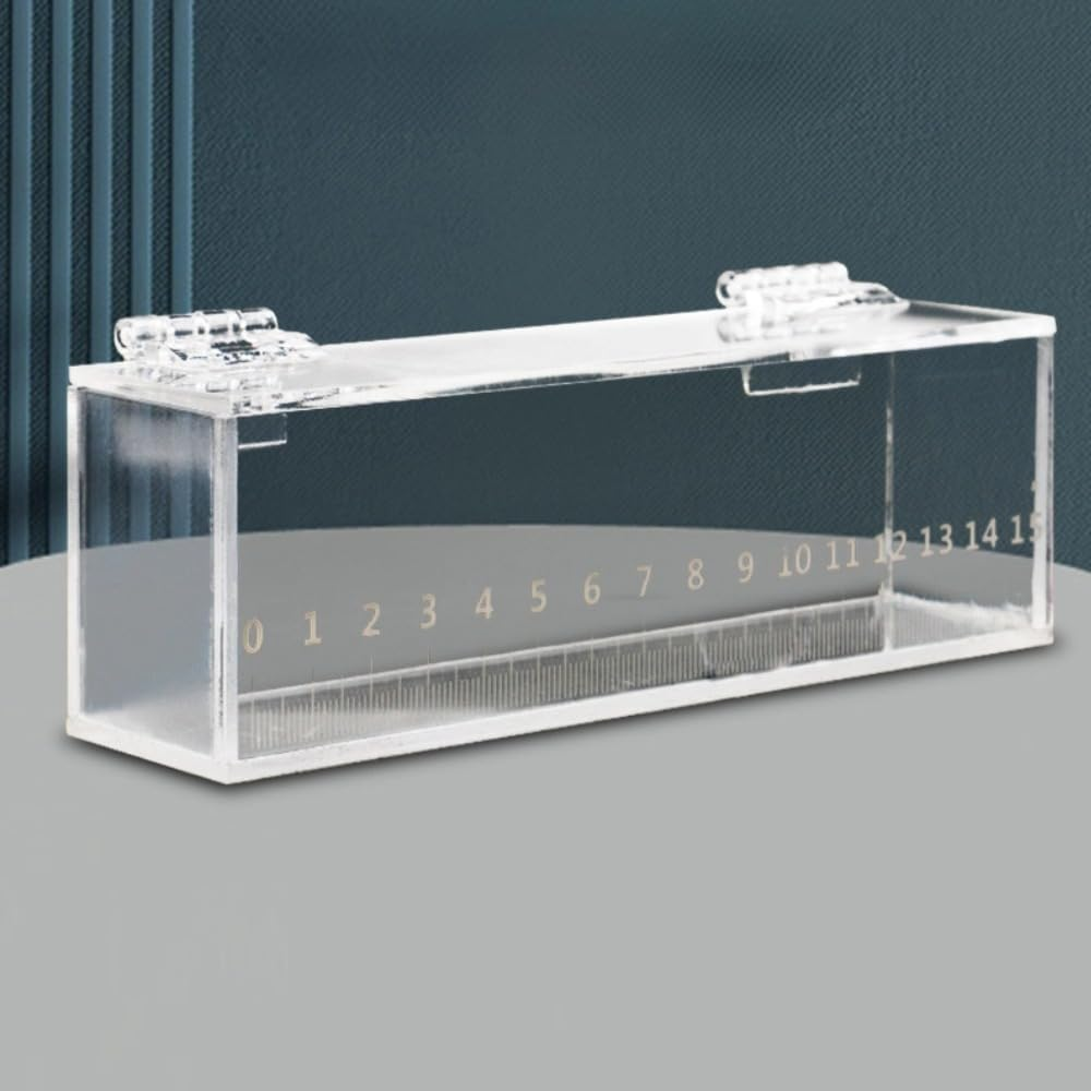 Fish Viewing Box, Acrylic Holder, Transparent Outdoor Indoor Micro Landscape Fish, Generic Fish Breeding Box