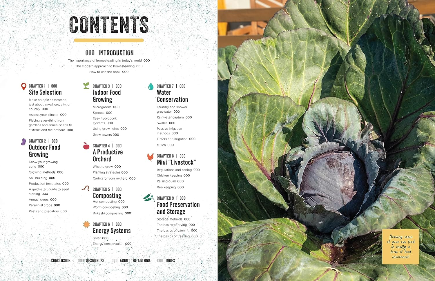 Epic Homesteading: Your Guide to Self-Sufficiency on a Modern, High-Tech, Backyard Homestead image number 1