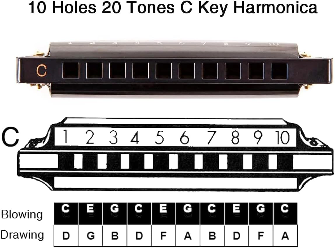 Top Harmonica with 10 Holes Blues Diatonic and Kazoo Musical Instruments with 5 Flute Diaphragm,Mouth Harmonica Organ Key of C for Kids,Students,Beginners, Professional image number 4