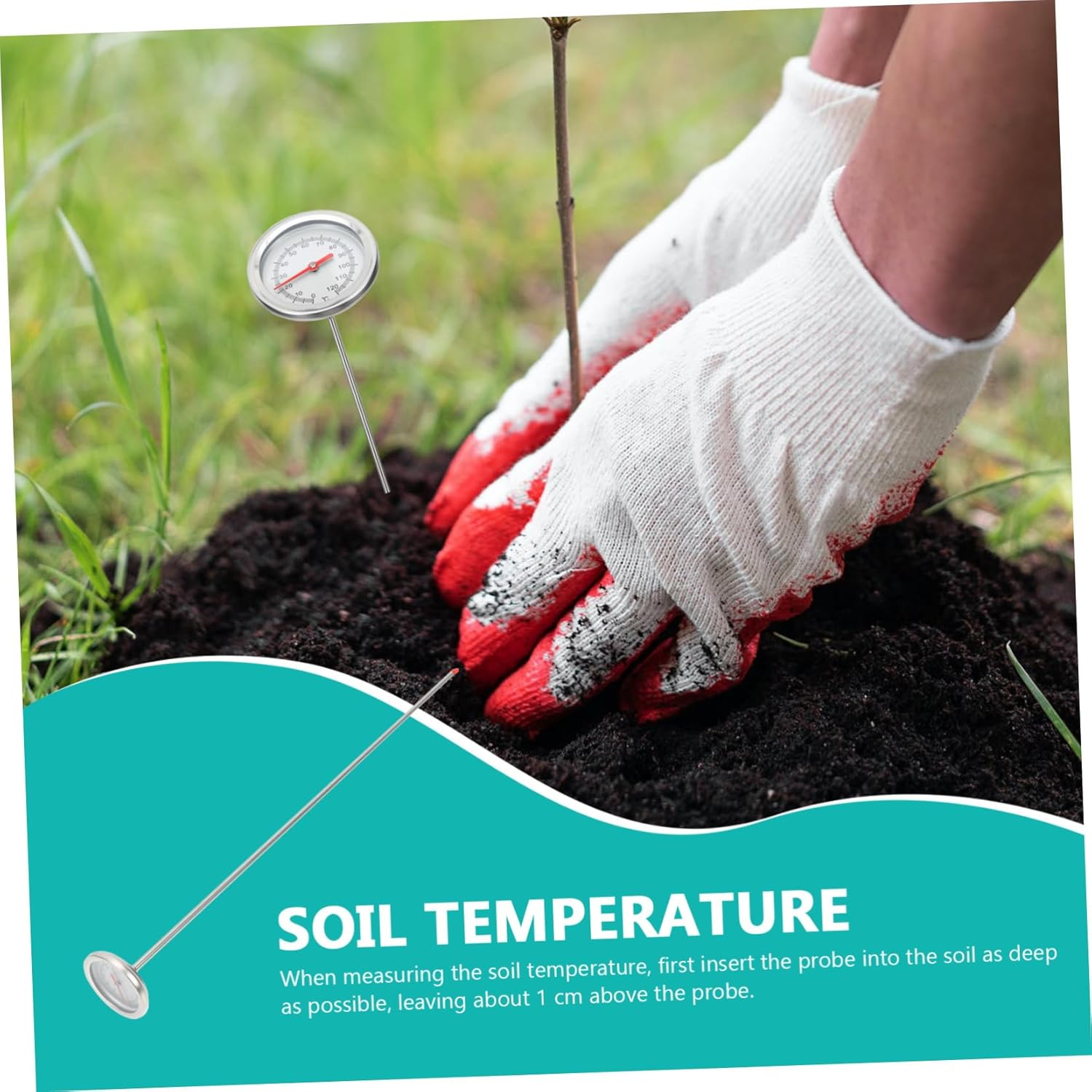 STAHAD Stainless Steel Soil Compost Thermometer Probe with Scale Gardening Temperature Detector for Fertilizer and Soil Monitoring C to Lightweight and Portable Tool image number 6