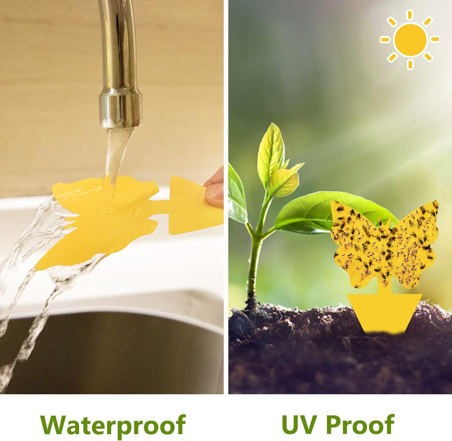 40 Pack Fungus Gnat Traps for House Indoor, Fungus Traps Fruit Fly Traps for Indoors Gnats Sticky Traps for Plants Yellow Sticky Traps for Gnats image number 3