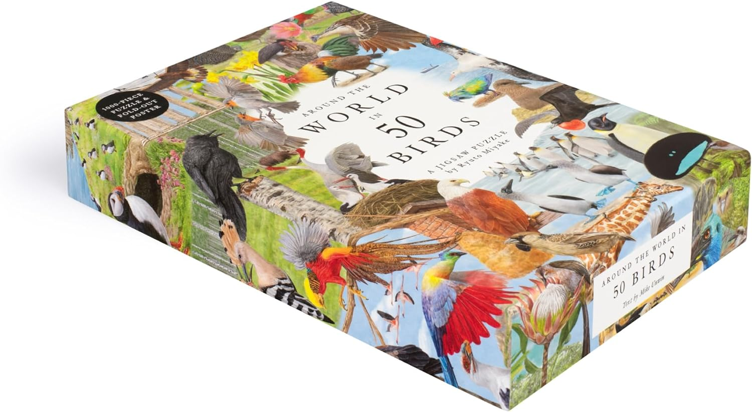 Around the World in 50 Birds: 1000 Piece Jigsaw image number 3