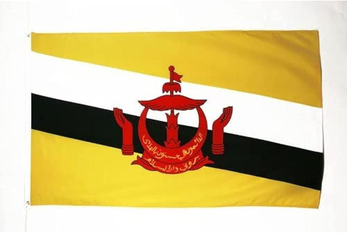 Palestine Flag 3' X 5' - Palestinian Flags 90 X 150 Cm - Banner 3X5 Ft Light Polyester - AZ FLAG