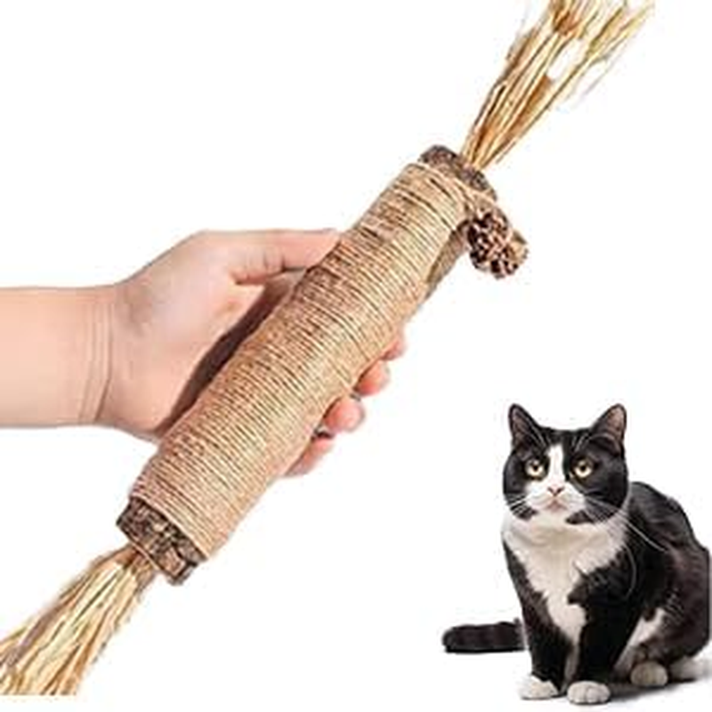 Huge Silvervine Sticks Cat Toys, Large Natural Catnip Kittens Chew Toy for Teeth Cleaning,Big Catmint Blend Stick, Dental Kitty Chews for Indoor image number 2