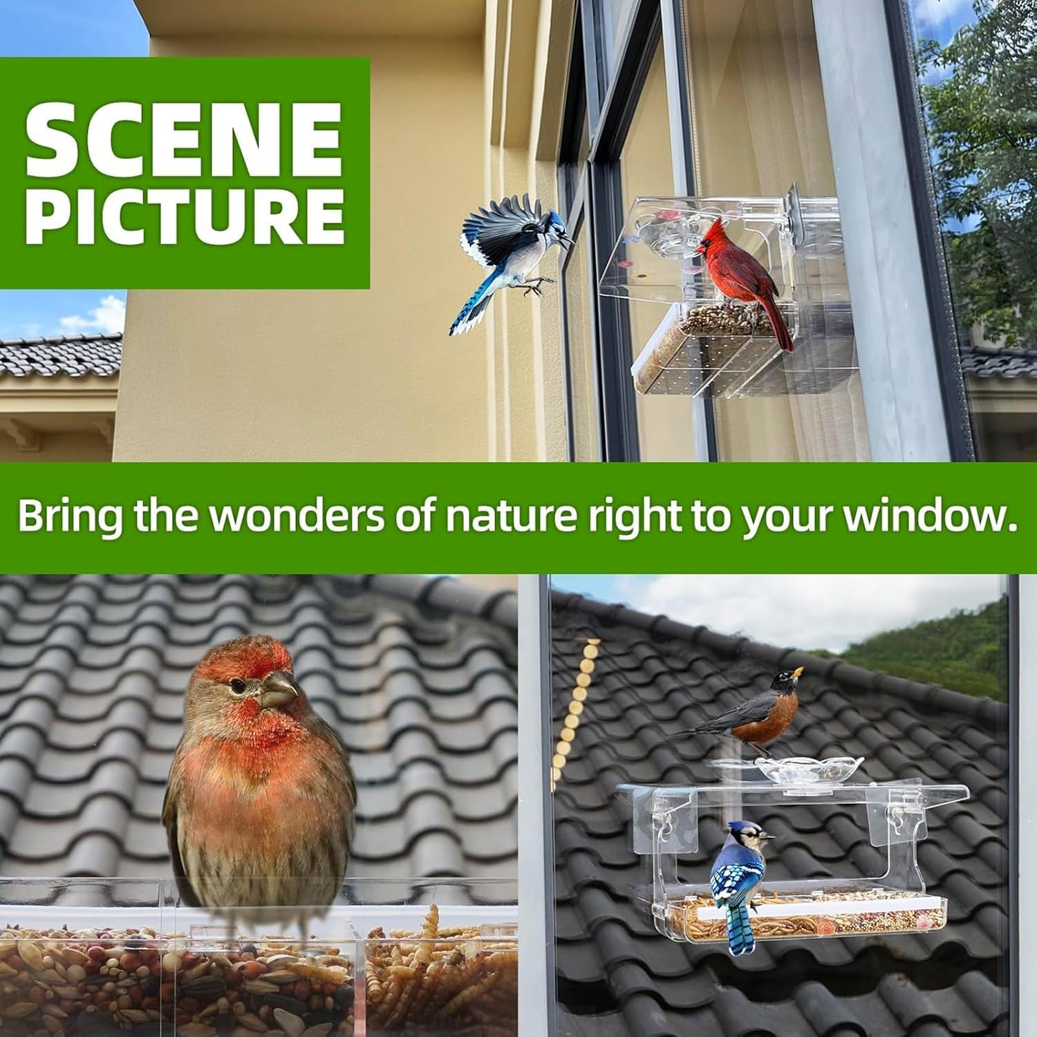 Goyuhome Clear Window Bird Feeder - Featuring Self-Adhesive Hooks & Easy-Clean Tray, Transparent Acrylic Outdoor Birdhouse for Wild Bird Watching, Ideal outside Gardening Gifts image number 1