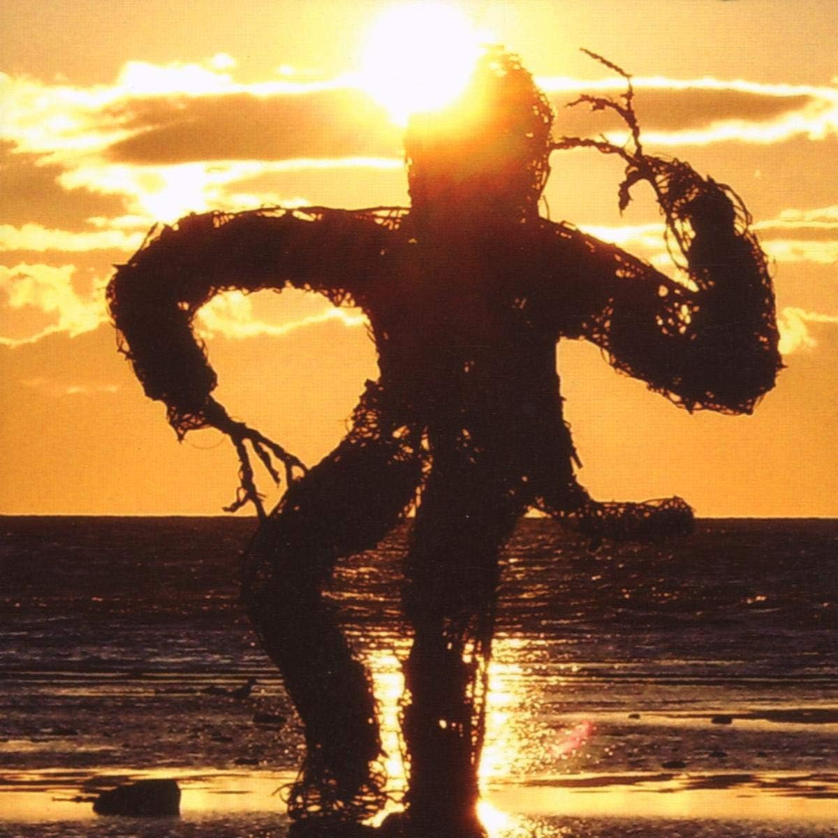 Come on Primates image number 1