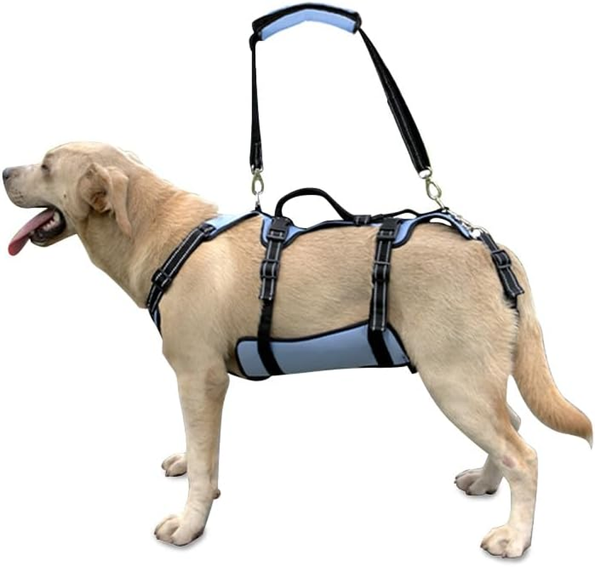 COODEO Dog Lift Harness, Support & Recovery Sling, Pet Rehabilitation Lifts Vest Adjustable Breathable Straps for Old, Disabled, Joint Injuries, Arthritis, Paralysis Dogs Walk (Xxlarge) image number 6