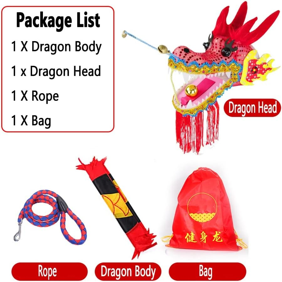 Dragon Ribbon Streamer Outdoor Flinging Colorful Dragon Dance Streamers, Sports Gymnastics Silk Spinning Swinging Cloth, Suitable for Parks, Squares, Festival Celebrations(C)
