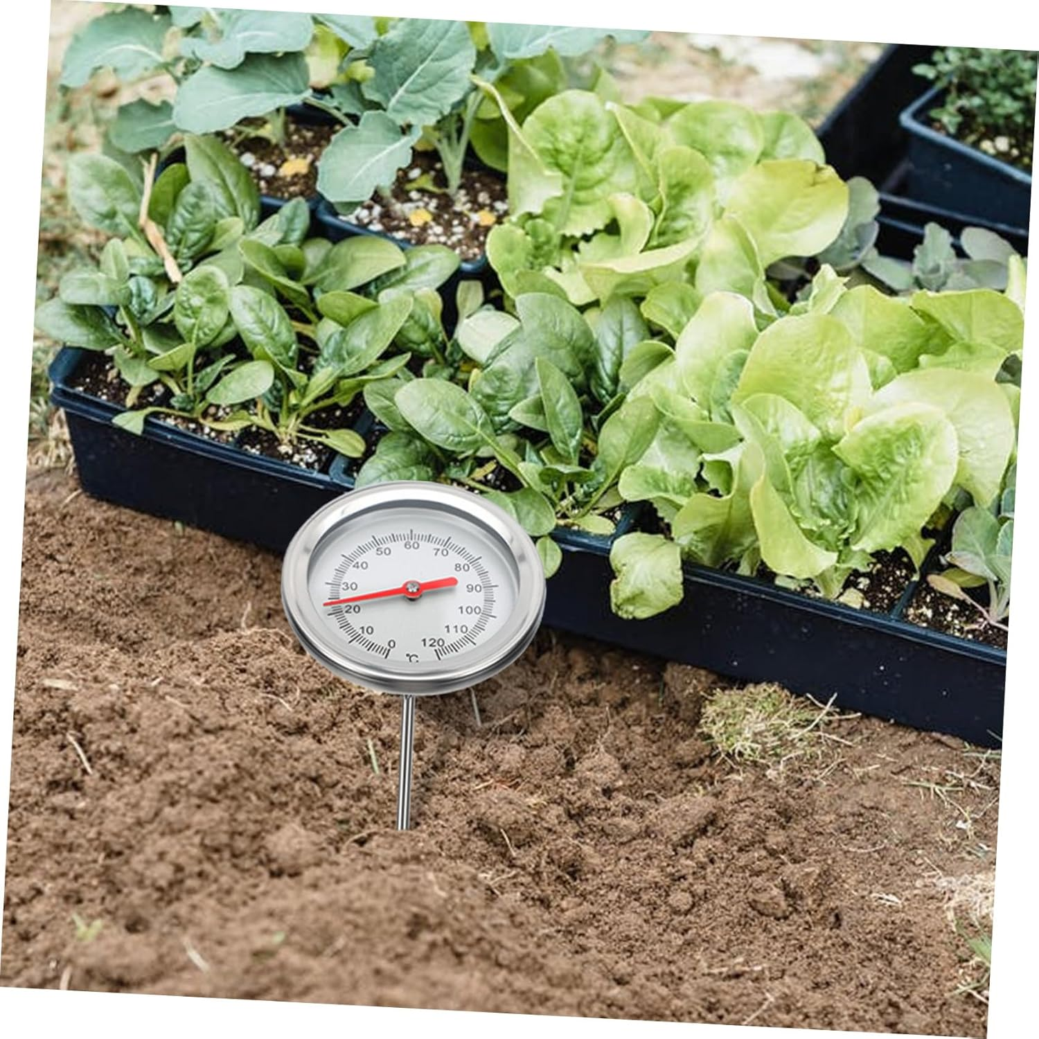 DECHOUS Precise Stainless Steel Soil Thermometer with Extended Probe for Compost and Gardening Physical Sensor Range C- C Professional Temperature Detector for Plant Growth