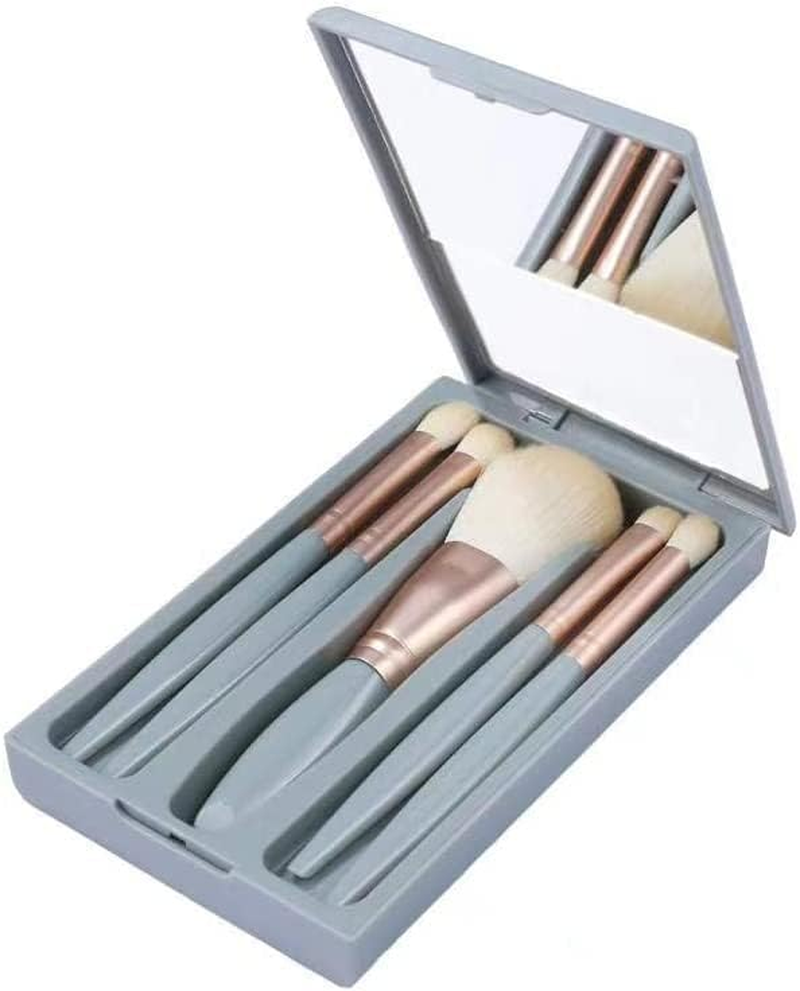 Travel Size Makeup Brushes Set, Easy-Taken Mini Makeup Brush Set with Case and Mirror for on the Go (Pink)