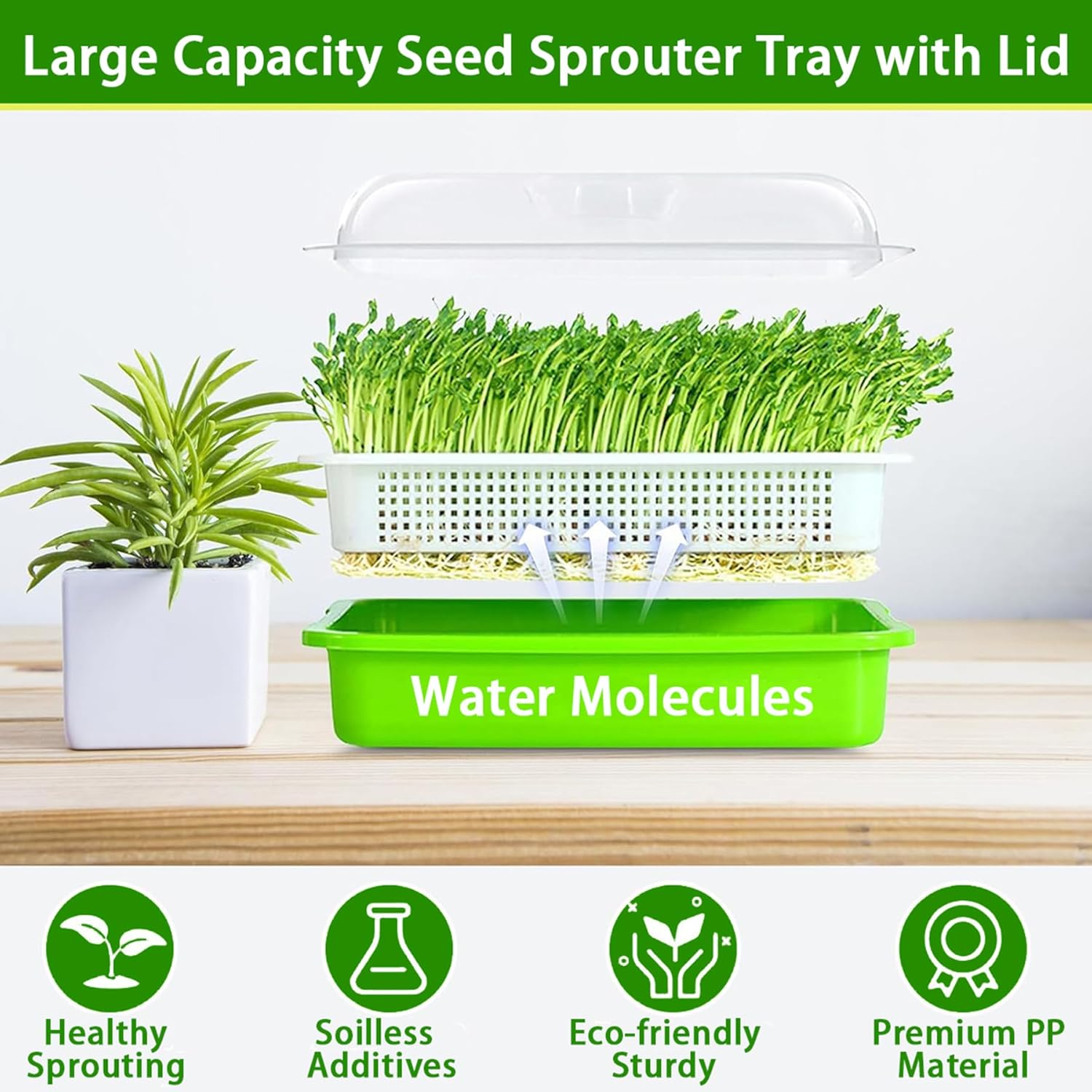 FORYUSE 3 Pack Seed Sprouter Tray with Drain Holes BPA Free PP Soil-Free Wheatgrass Grower with Lid Microgreens Germination Sprouting Kit for Garden Home Office