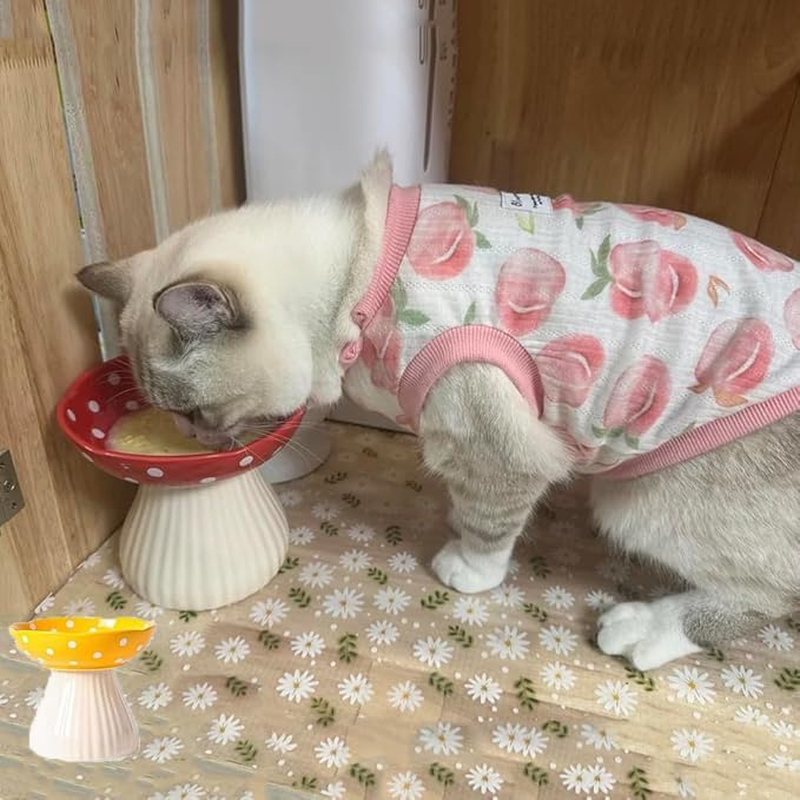 WEZCHUGHAOL 2 Pack Elevated Cat Bowls - Ceramic Raised Pet Food & Water Dishes with Non-Slip Base, Whisker Friendly Tilted Design for Flat-Faced Cats & Kittens, Mushroom Style Feeder image number 3