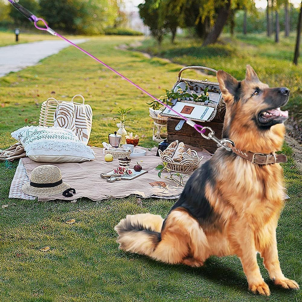 Chew Proof Dog Leash Extension, Support Add to Any Leash (Black+Transparent, 24 Inch/60Cm)