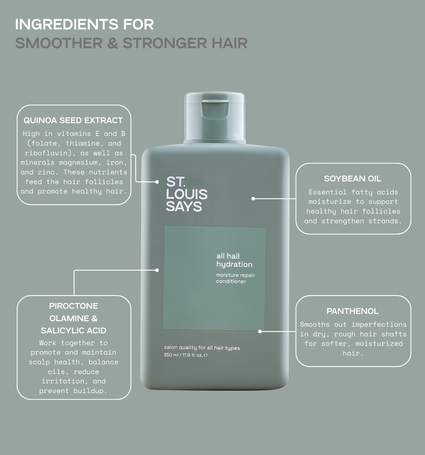 All Hail Hydration Conditioner &ndash; Deep Moisturizing & Nourishing Conditioner for Dry, Frizzy, and Damaged Hair &ndash; Softens, Detangles & Strengthens &ndash; for All Hair Types image number 2