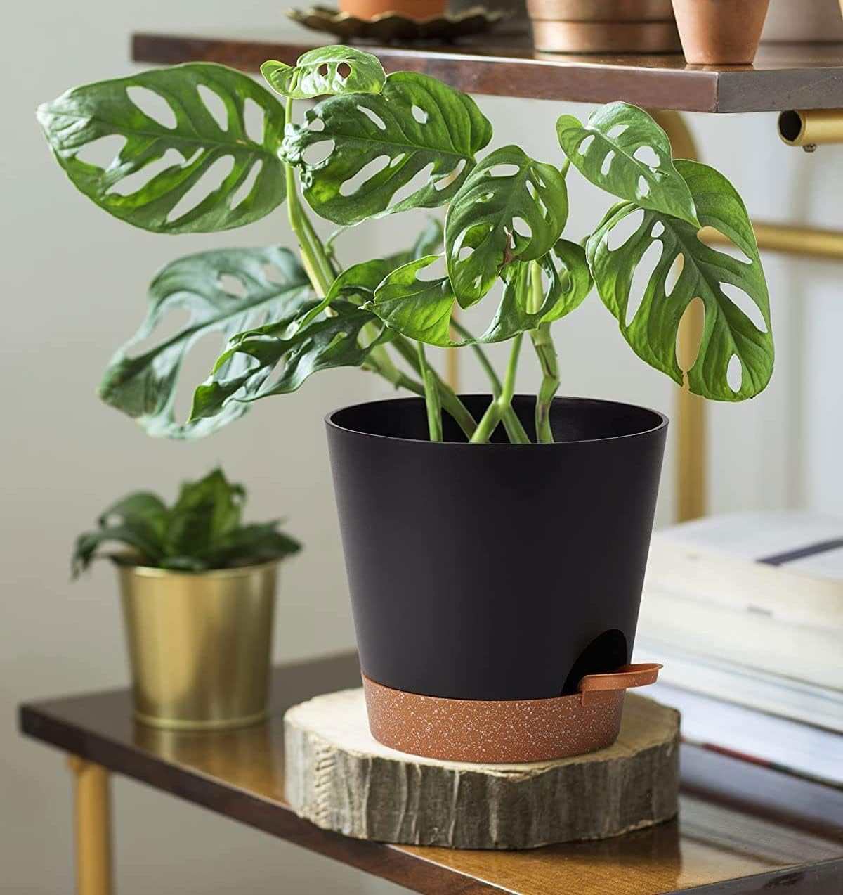 5 Pcs Plant Pots, 7/6.5/6/5.5/5 Inch Self Watering Plant Pots with Drainage Holes,Modern Decorative Plastic Pots for Plants with Drainage Hole and Tray for All House Plants image number 4