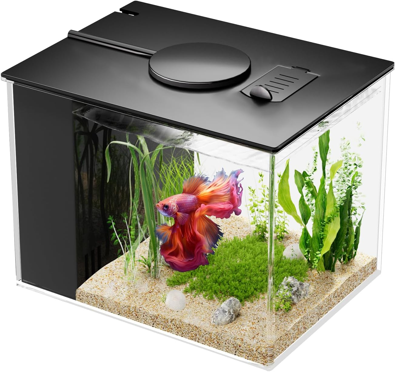 Vehipa 2.9L (0.78 Gal) Betta Fish Aquarium, Acrylic Small Fish Tank Kit with Water Filter Pump & LED Light, Ideal for Small Fish, Plants and Shrimp, White