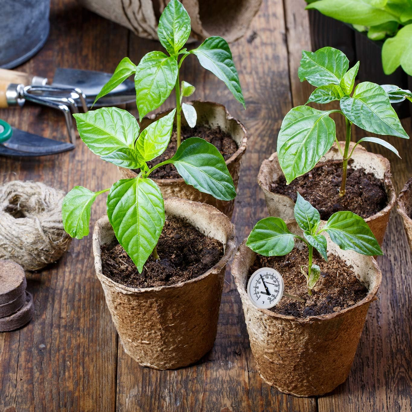 REOTEMP K82-3 Soil Thermometer, 7 Inch Stem, Waterproof, for Seeding and Transplanting Garden Temperature Measurement, 0-220 Fahrenheit image number 1