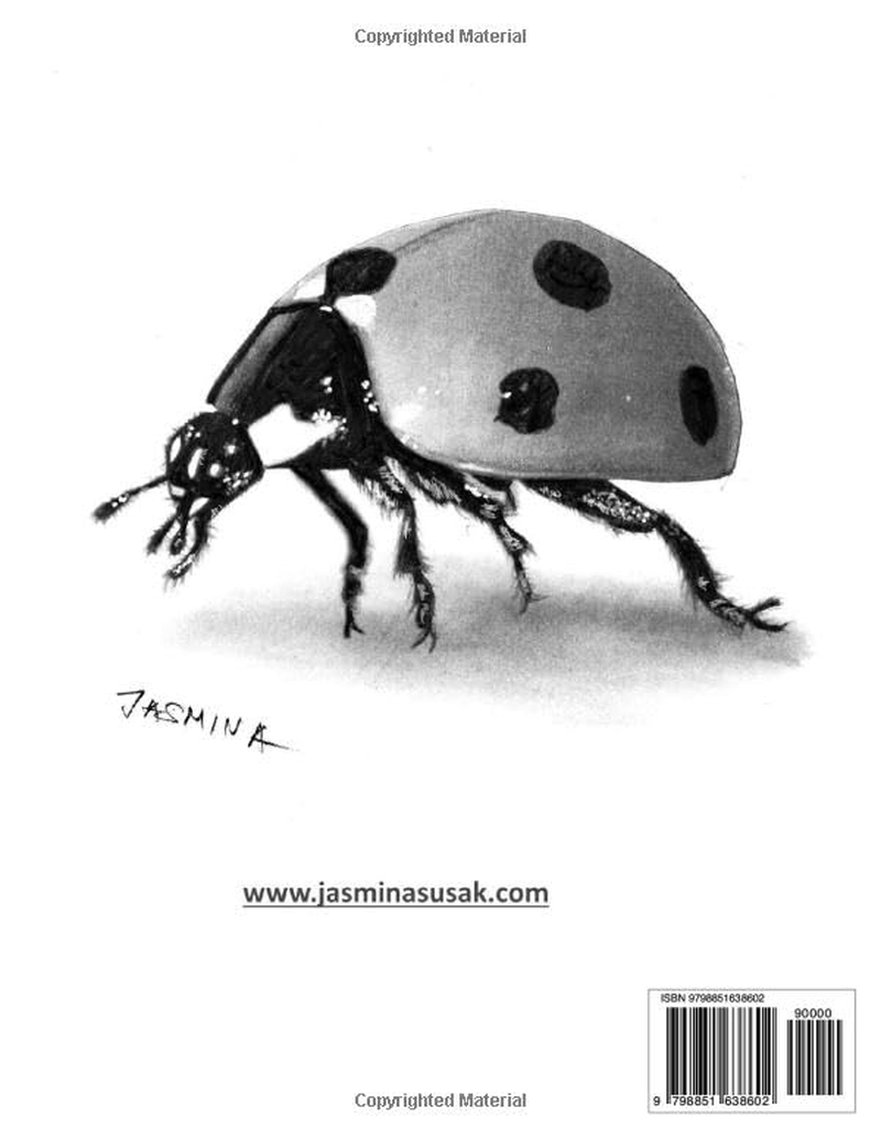 How to Draw Photorealistic Animals: Drawing from Reference Photos