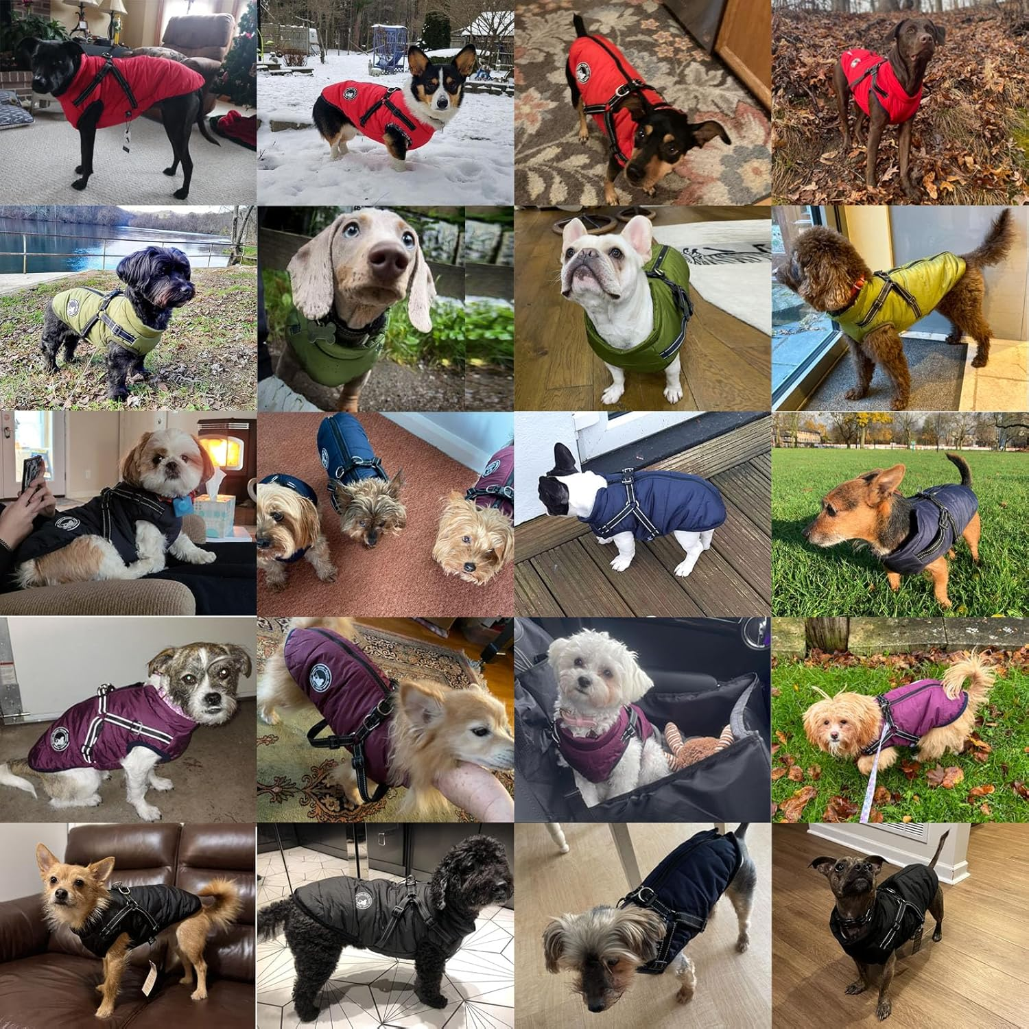 Jinpet Dog Coat with Harness Winter Dog Coat Fleece Dog Jacket Waterproof Dog Coat Zipper Dog Jacket Puppy Coat Small Dog Clothes Dog Coat with Reflective Harness for Smal Medium Large Dogs S-4XL image number 6