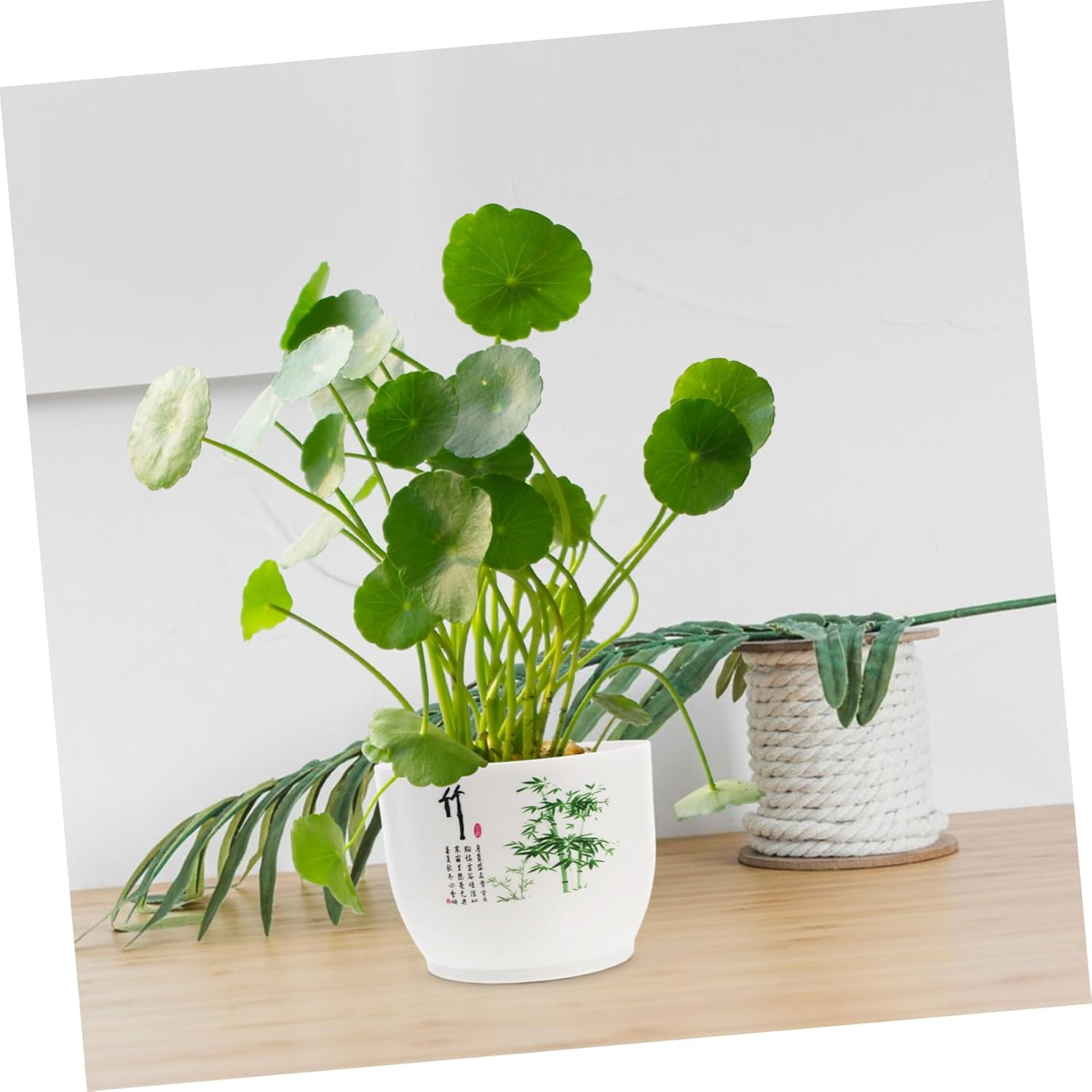 Sosoport 2Pcs Hydroponic Planter Bowl Home Gardening Pot Plastic Daffodil Pot for Indoor Outdoor Use - Multi image number 2