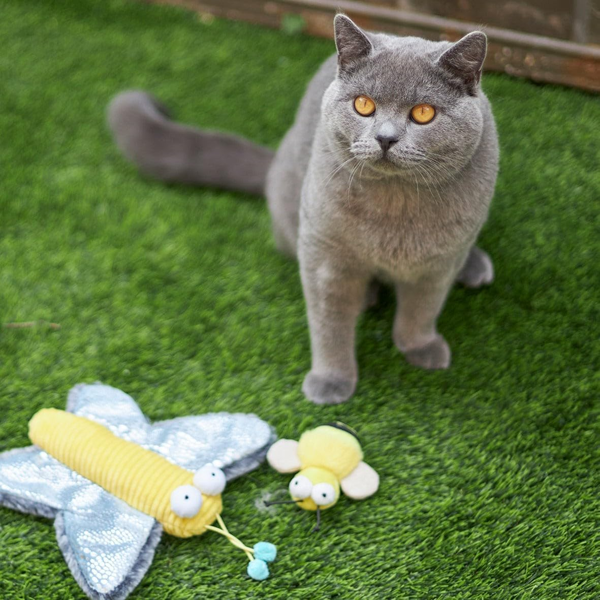 Kazoo Noisy Busy Bee Cat Toy image number 4