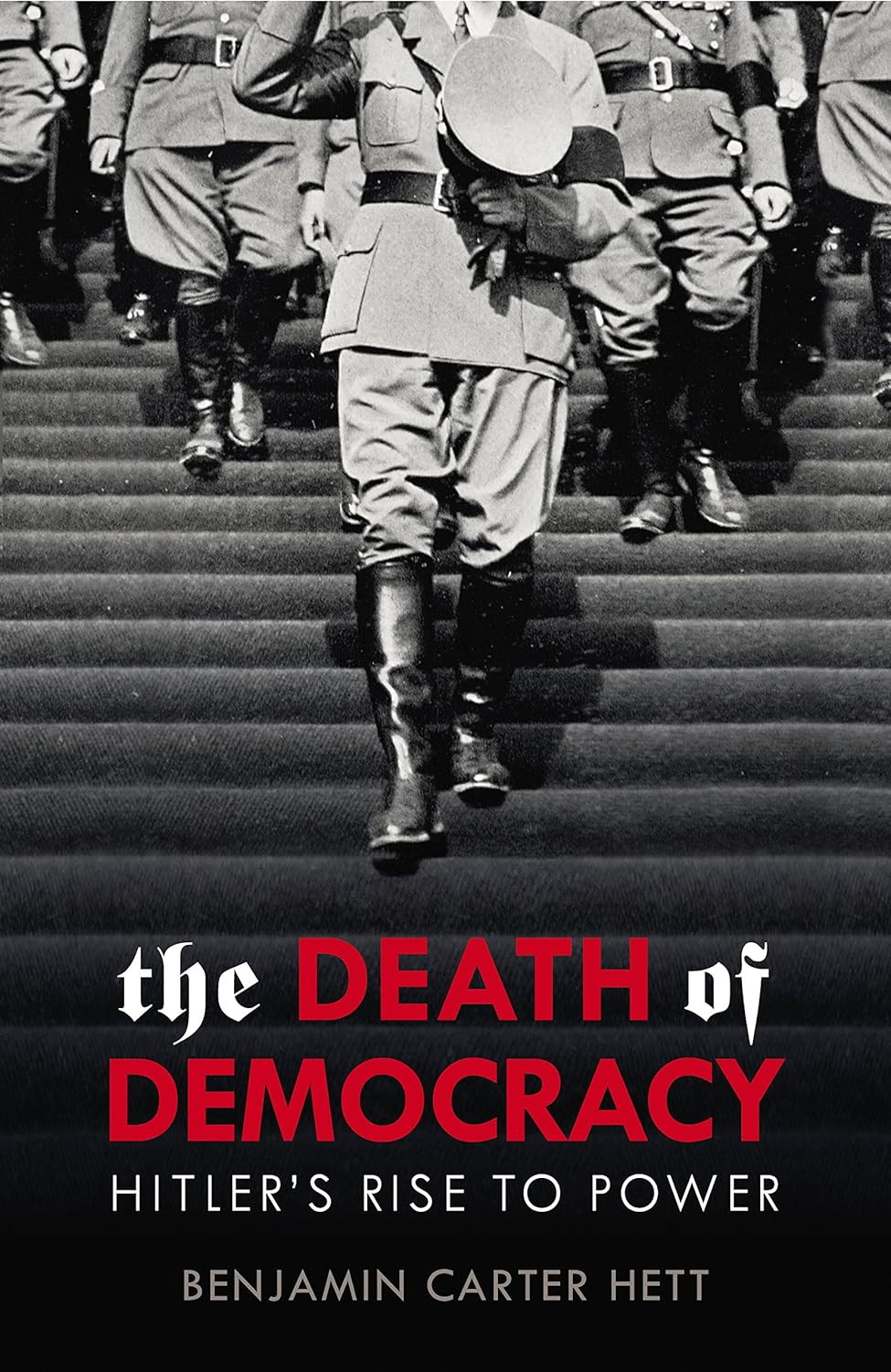 The Death of Democracy image number 1