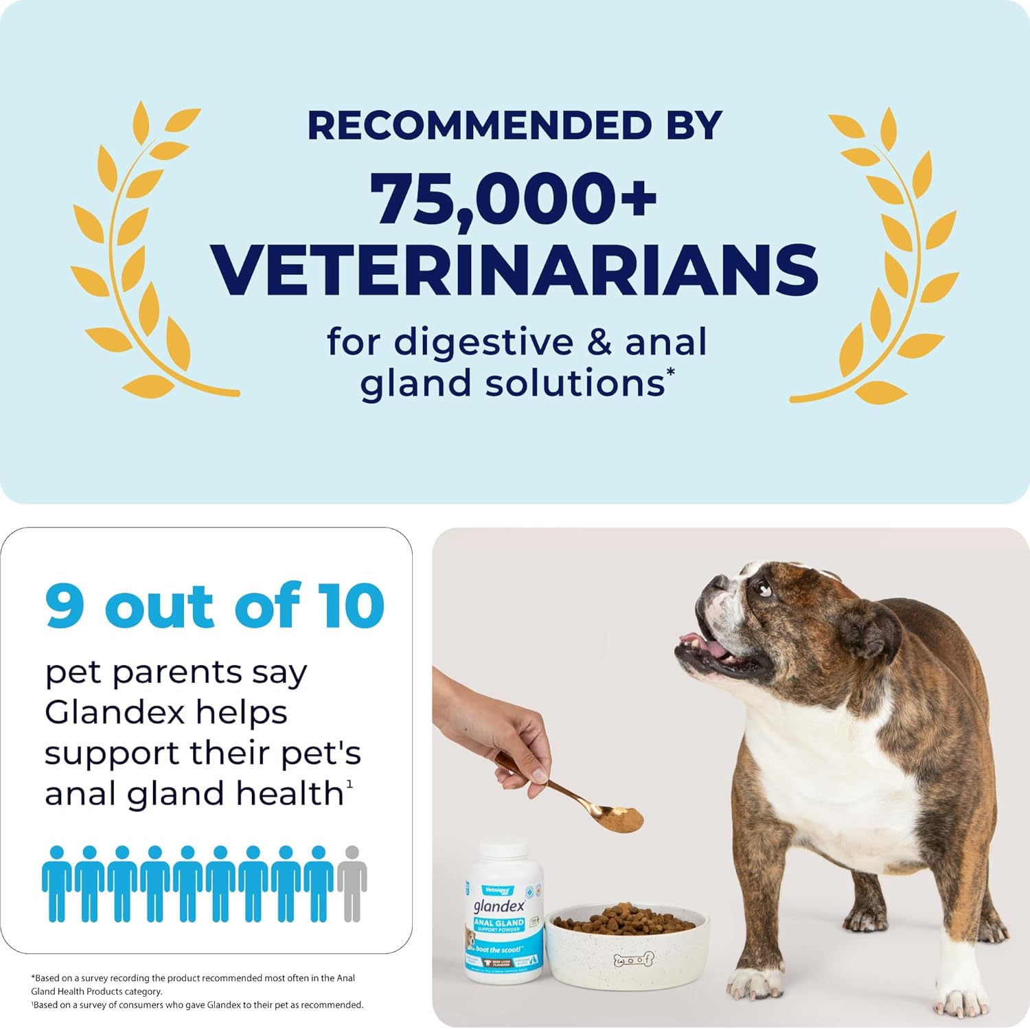 Glandex Dog Fiber Supplement Powder for Glands with Pumpkin, Digestive Enzymes & Probiotics - Vet Recommended Healthy Bowels and Digestion - Boot the Scoot by Vetnique Labs (Beef Liver, 5.5 Oz) image number 6