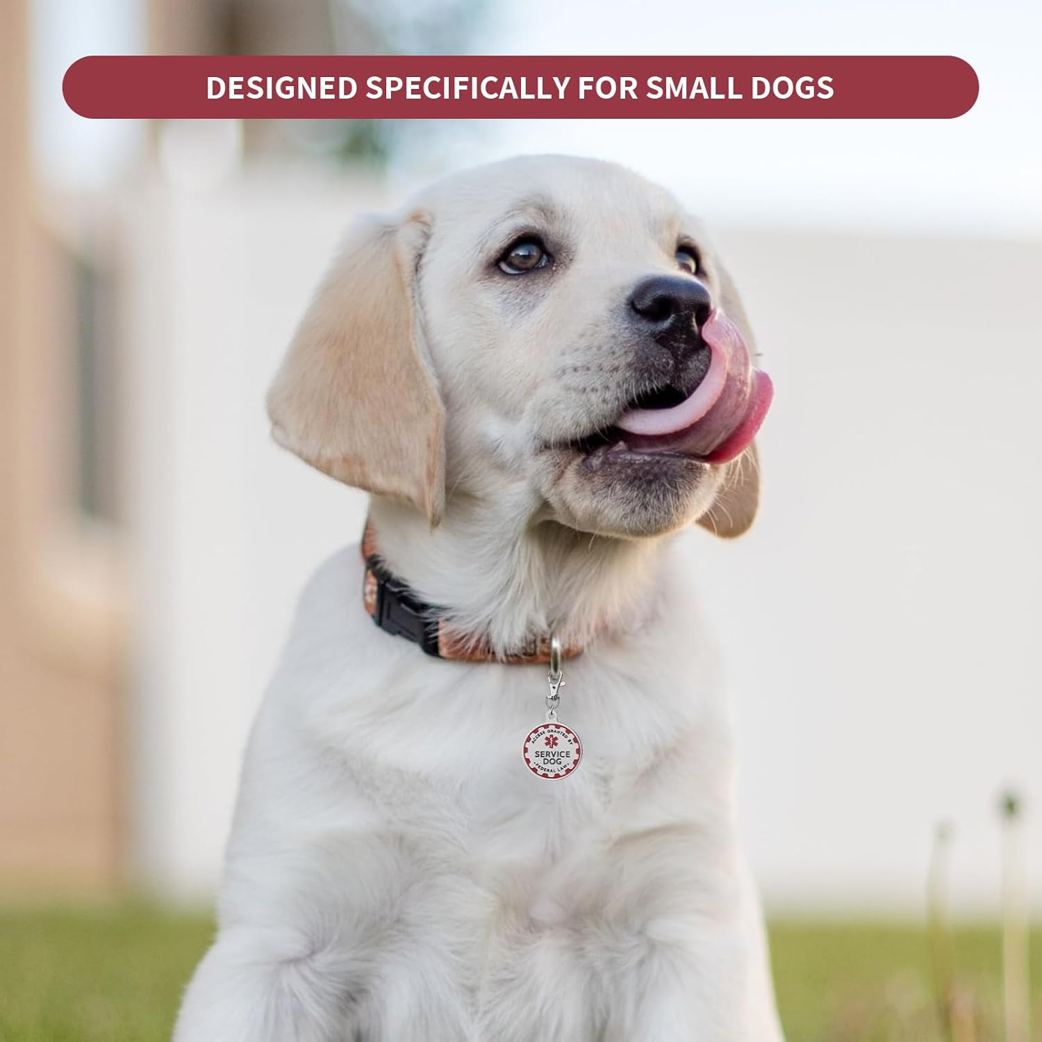 Service Dog TAG Industrial Puppy for Service Animals, Emotional Support Dogs & Therapy Dogs Entirely Surgical Stainless Steel Easily Attach to Collar, Harness-Two-Sided (Service Dog TAG) image number 3