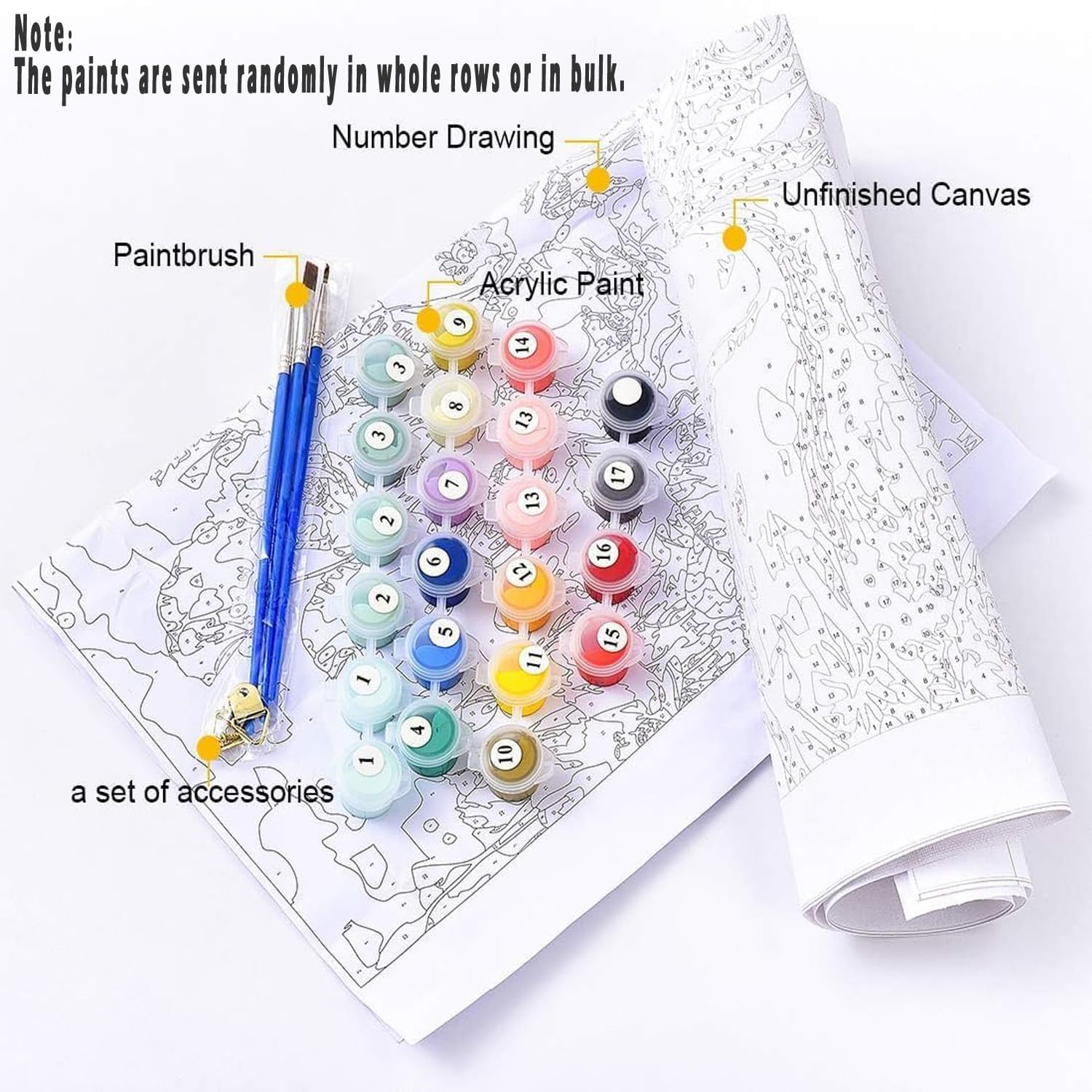 Paint by Numbers for Adults,Oil DIY Painting by Numbers Kits,Drawing on Canvas White Cat Paintwork with 3 Paintbrushes Acrylic Paints,Without Frame DIY Oil Painting for Home Wall Decoration16X20 Inch image number 1