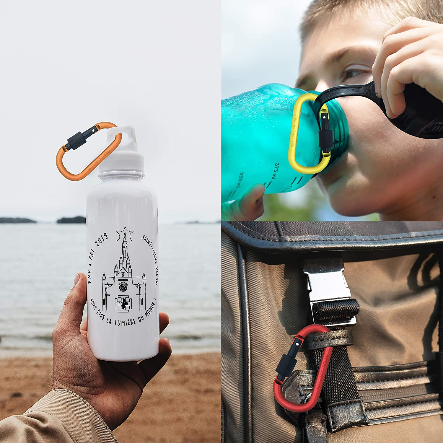 10PCS Screwgate Lock Keychain Clips Carabiner - 8 Cm Aluminum Durable D-Shape Spring Loaded Clip for Home, Rv, Camping, Fishing, Hiking, Traveling and Sports Outdoors