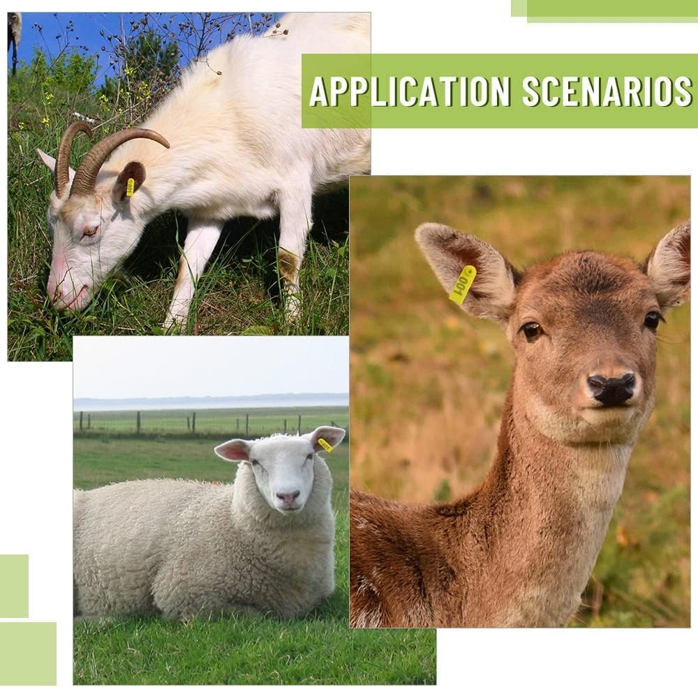 100 Pcs Durable Yellow Livestock Ear Tags Numbered 1-100 with Vibrant Color and Printed Words for Cattle, Sheep, Pigs image number 6