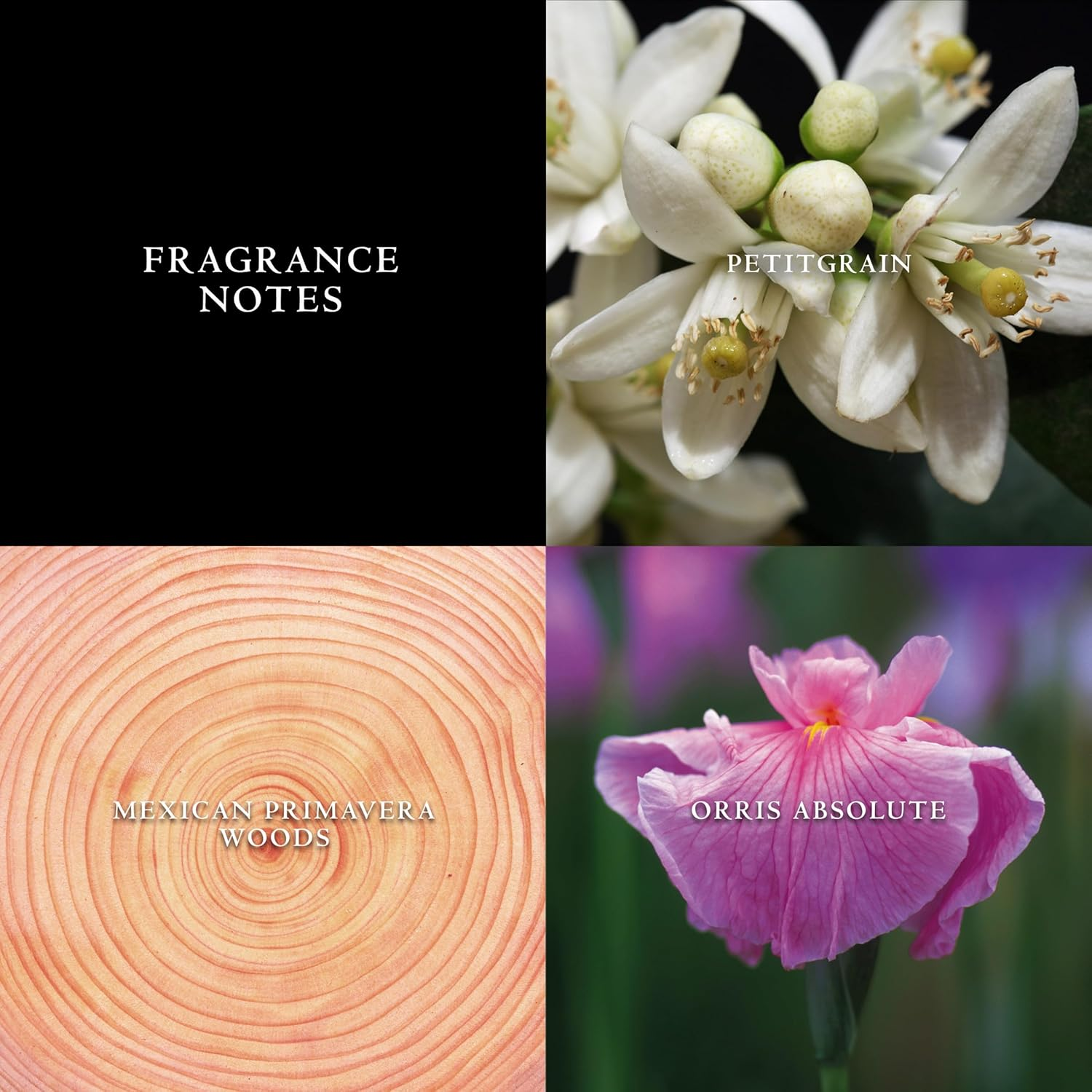 John Varvatos Artisan Pure, 125 Ml image number 4