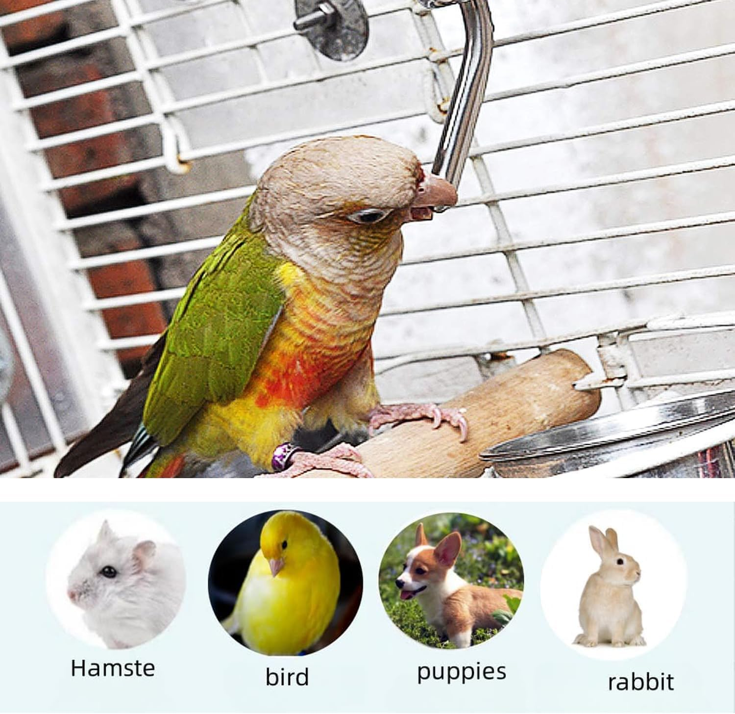 Lxcshljx 2Pcs Pet Cage Water Bottle No Drip, Small Animal Drinking Bottles, Parrot Water Feeder, Hanging Automatic Water Feeding Bottle, Water Dispenser Bottle for Rabbit Guinea Pig Squirrel Hamster