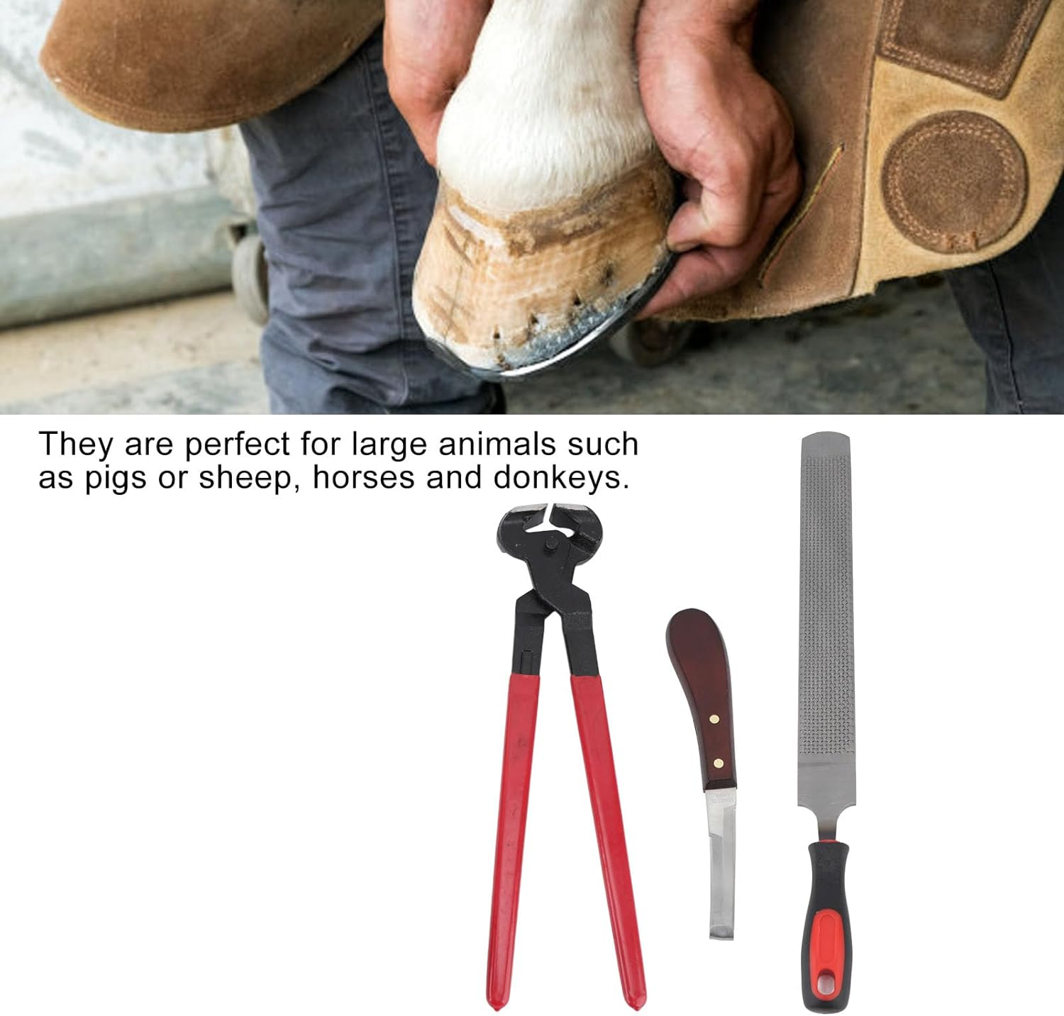Horse Farrier Hoof Trim Tool, Double Sided File Horse Farrier Tool Kit Farrier Tool Kits Hoof Trimmer Tool Professional Horseshoe Pliers Nipper for Horses Cattle Sheep Donkeys image number 6