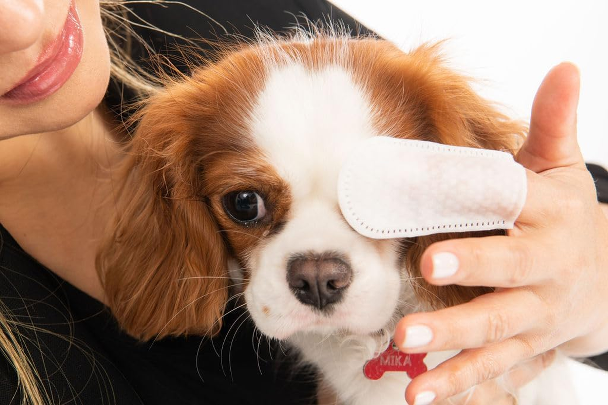 Pa & Paws Pet Eye Finger Wipes &ndash; 50Pcs | Gentle Tear Stain Remover for Dogs & Cats | Chamomile & Vitamin E | Alcohol-Free Eye Cleaning Pads for Pets image number 1