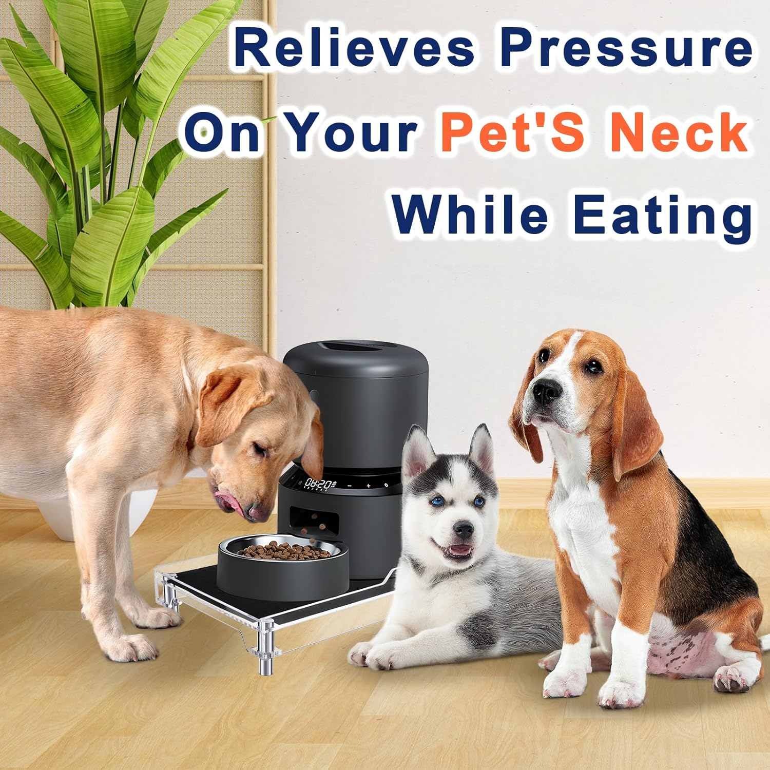 Beautyflier Raised Dog Feeder Stand Elevated Holder for Automatic Cat & Dog Feeders Pet Water Bowl Dispenser Stand Adjustable Fits Small Jugs Holds 5KG, Black (Holder ONLY) image number 2