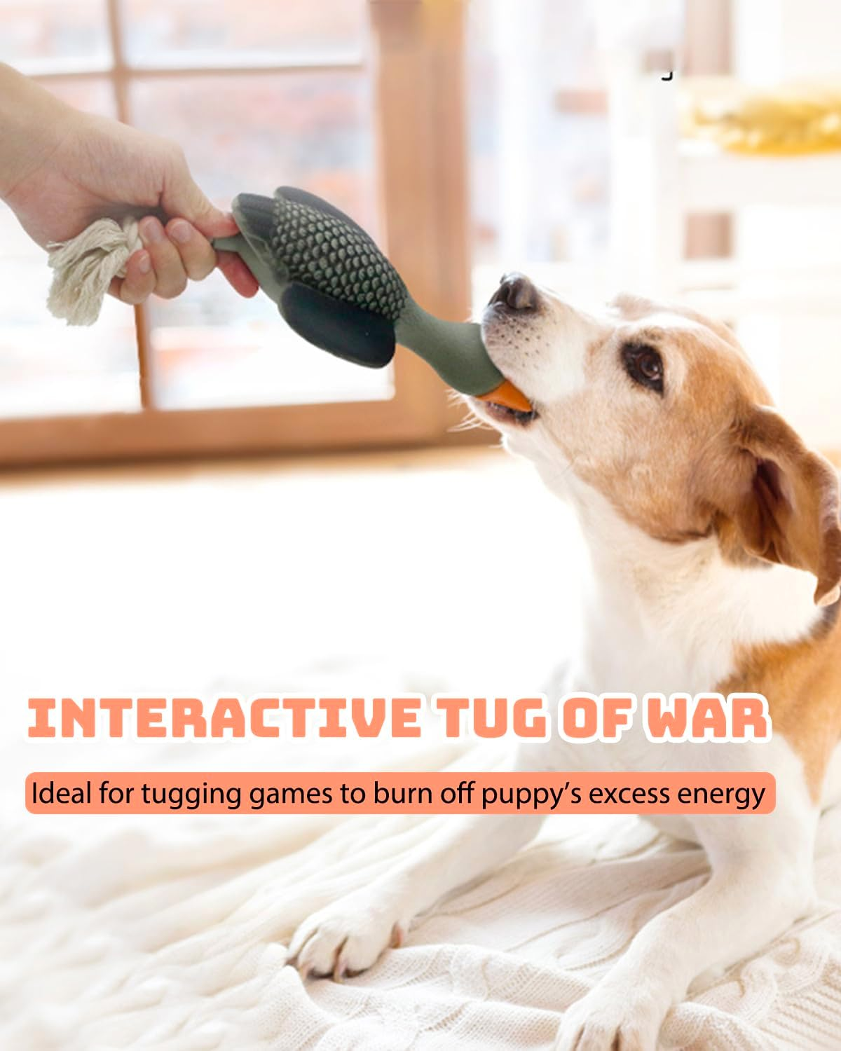 Squeaky Rope Dog Toys, Latex Rubber Squeak Duck Tug of War Toy, Interactive Play Puppy Stuffed Chew Toy for Small Medium Dogs