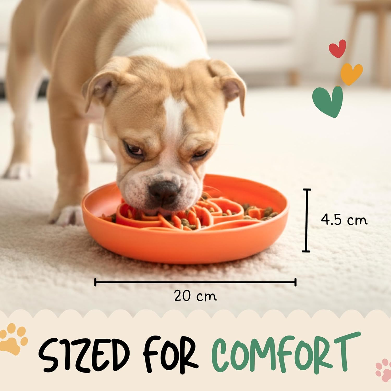 Tails & Whiskers Cactus Slow Feeder Dog Bowl for Dogs and Cats, Enrichment anti Gulping Pet Food Bowl (Green) image number 1