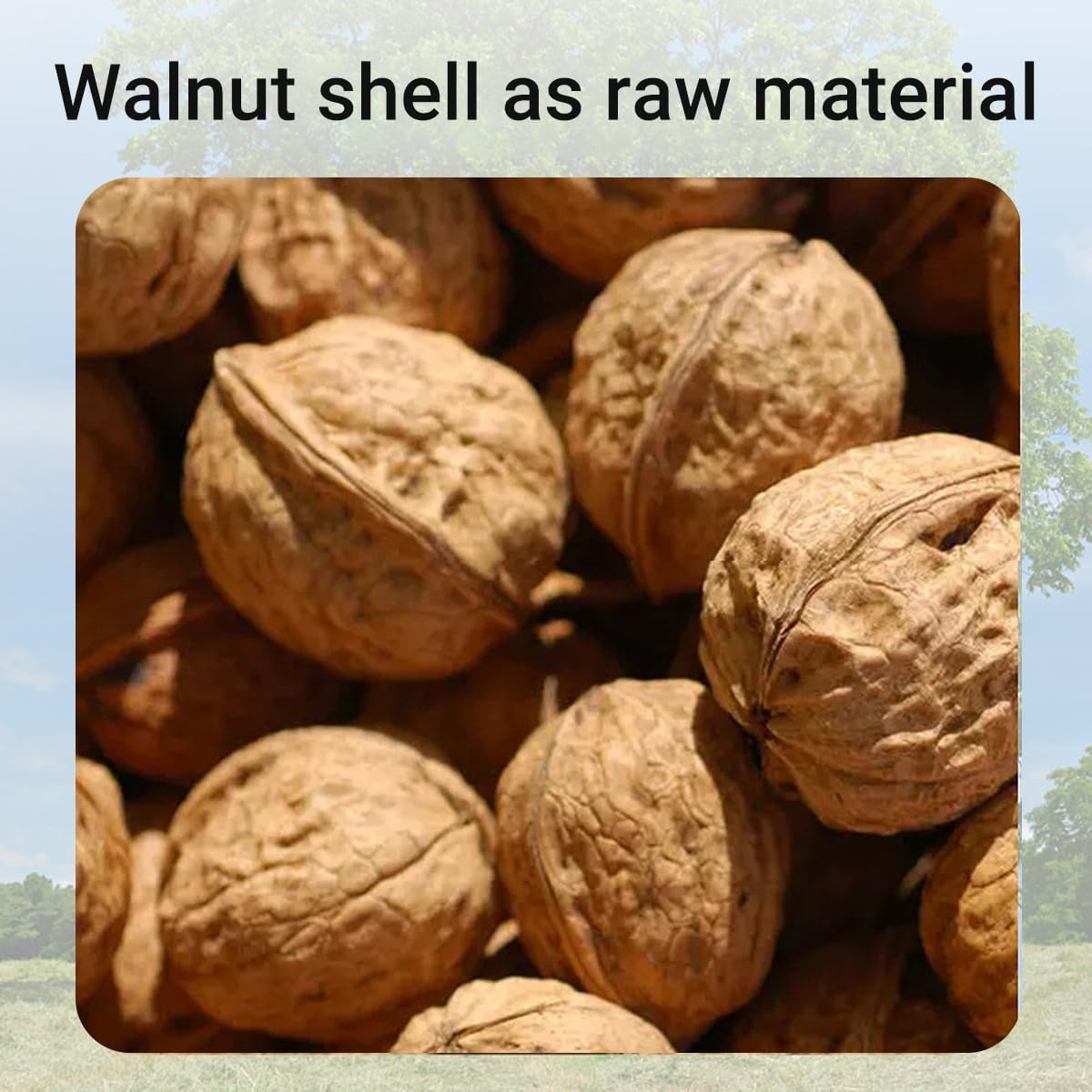 AIMALL Walnut Shell Sand Bedding, Odor Control & Dust-Free for Poultry, Ideal for Chickens, Quail, & Chicks, Enhances Clean Fermentation, 2.87Lbs (1.3Kg) image number 6