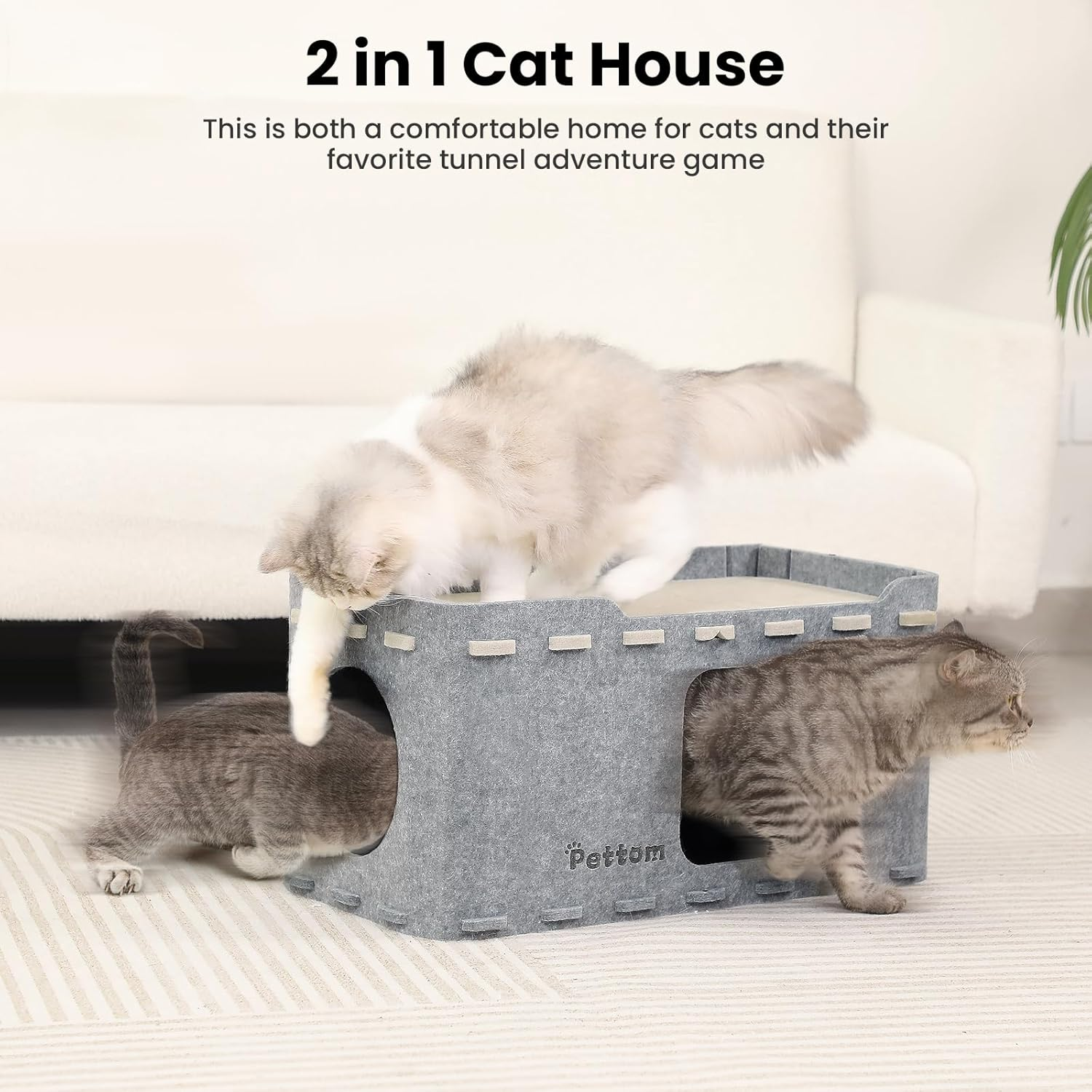 PETTOM Cat Cave Bed for Indoor Cats, Cat Tunnel House for Multiple & Large Cats, Cat Accessories image number 6