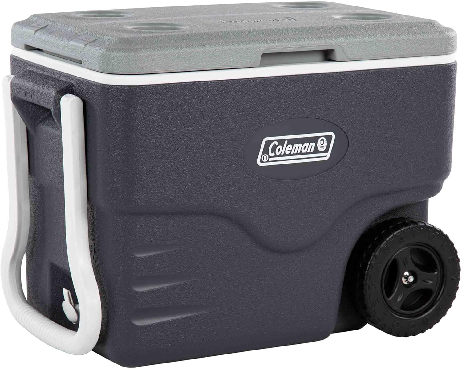 Coleman Daintree Cooler | Durable Design, Portable Cooler, Outdoor or Indoor Use, Grey image number 5