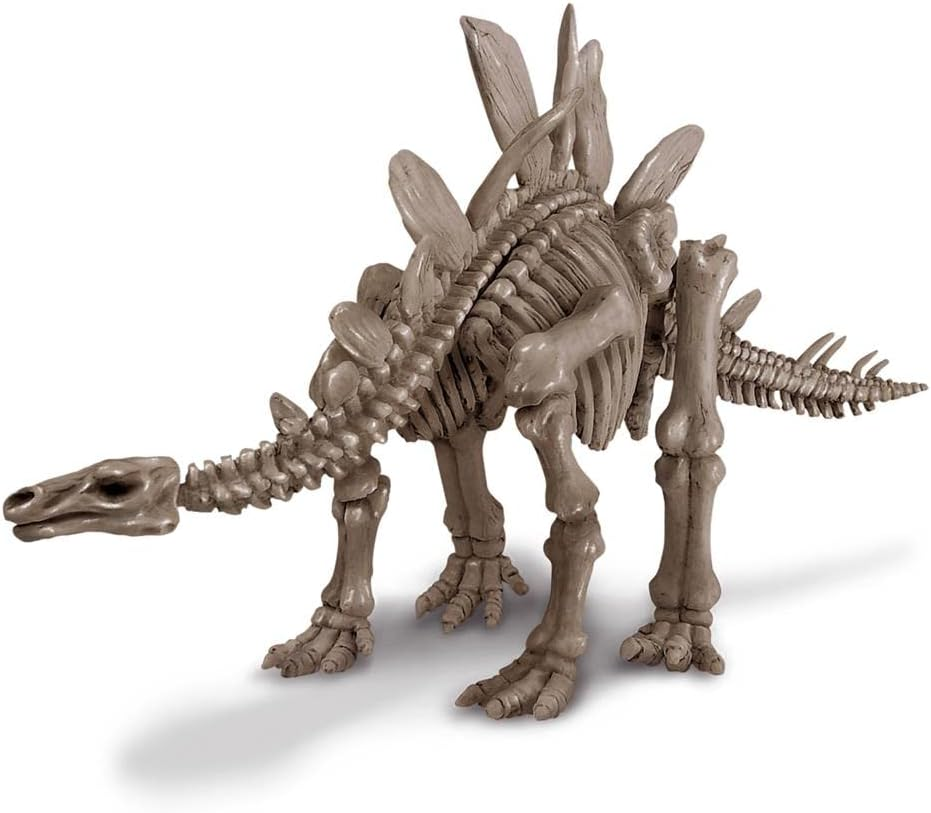 4M FSG3229 Kidzlabs Dig a Dinosaur Stegosaurus