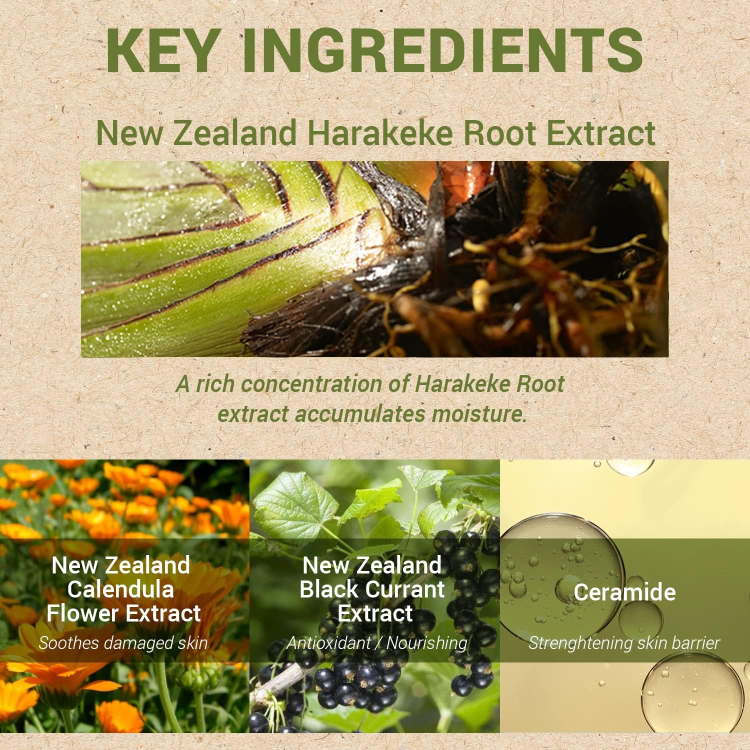 [The SAEM] Urban Eco Harakeke Root (Toner 180Ml) image number 1