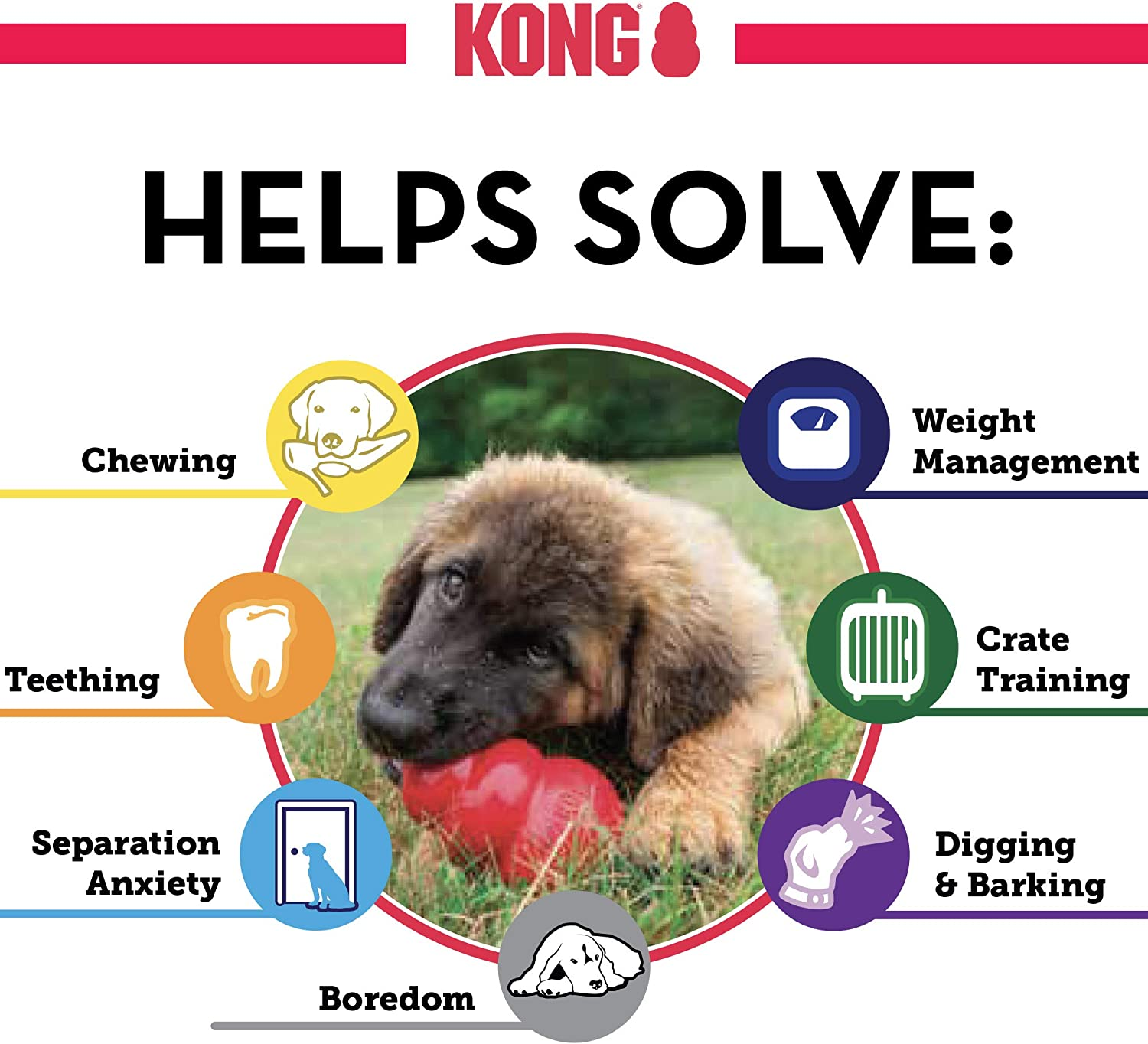 KONG - Classic Dog Toy - Durable Natural Rubber - Fun to Chew, Chase and Fetch - for Medium Dogs image number 4
