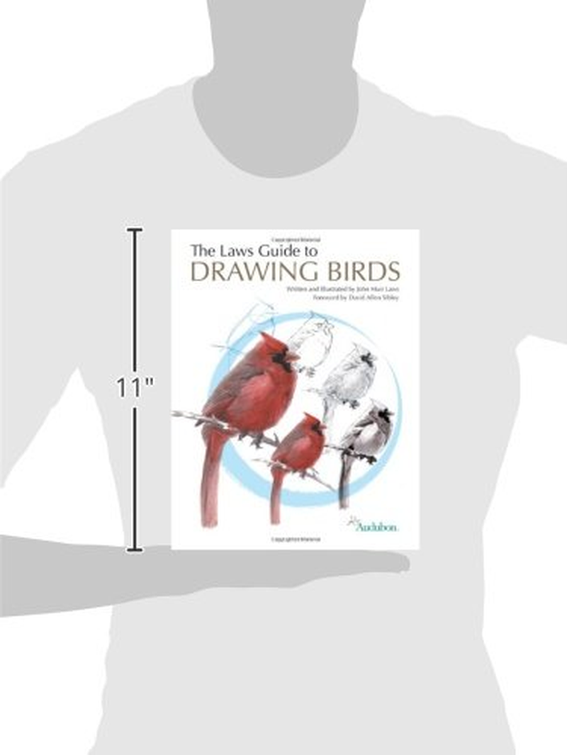 The Laws Guide to Drawing Birds image number 2