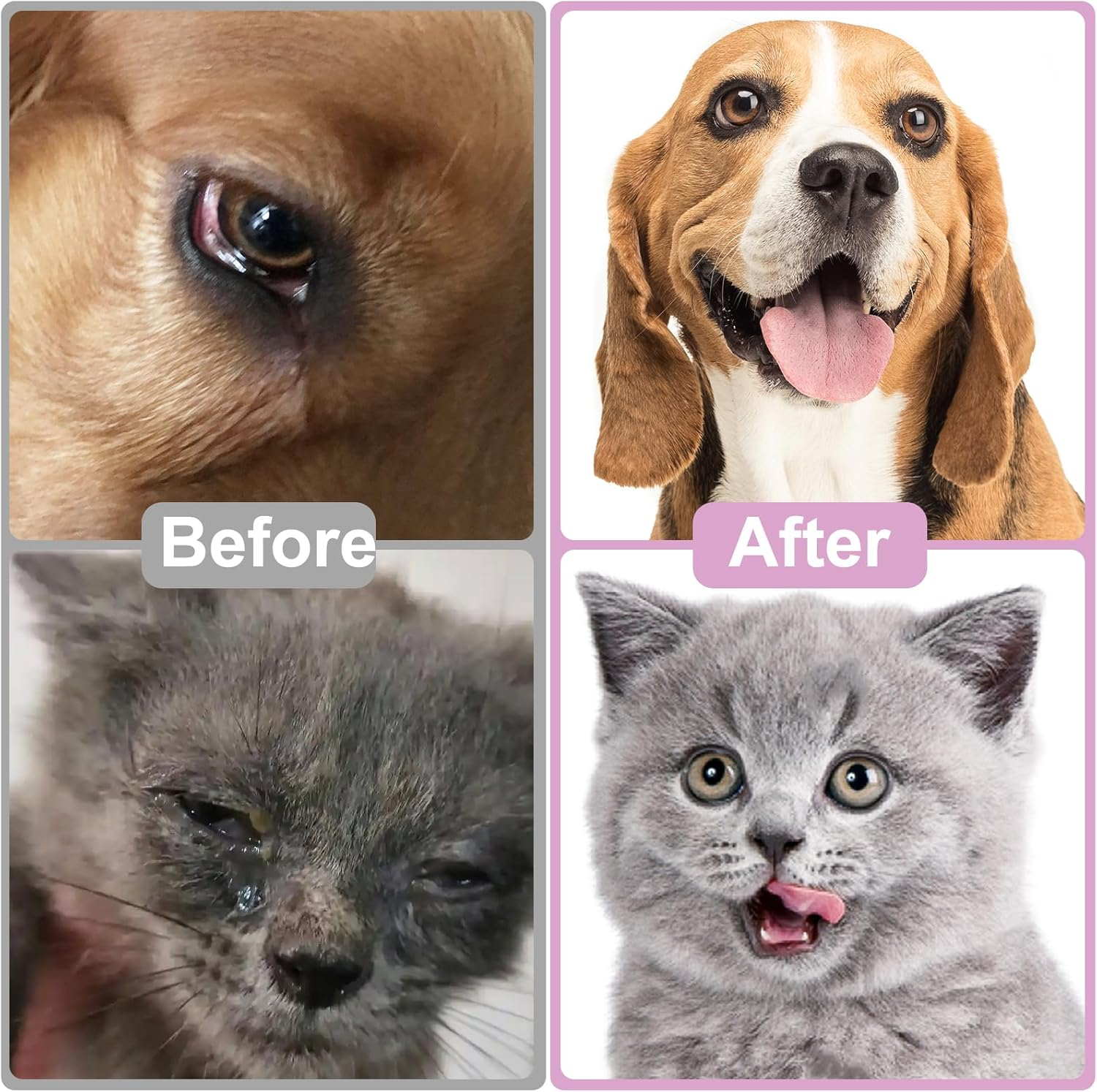 Pet Eye Drops for Dogs and Cats to Soothe Eyes Irritation & Infection Allergy,Relieve Dogs Cats Dry Eyes Pink Eyes,Pet Tear Stain Cleaner,Safe & Gentle Formula for All Animals 3.38Oz image number 2